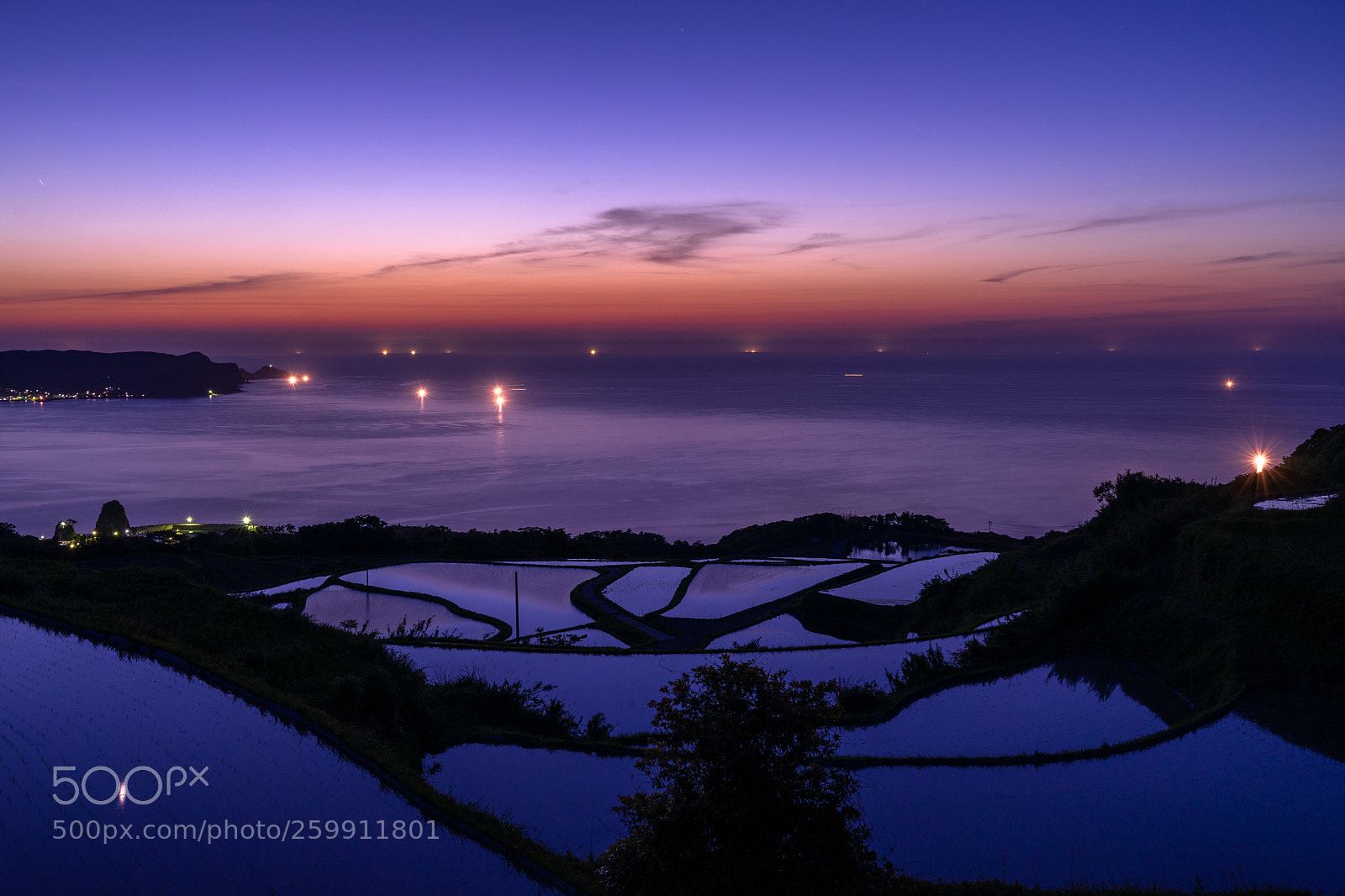 Sony a7 II sample photo. Higashiushirobata rice terraces photography
