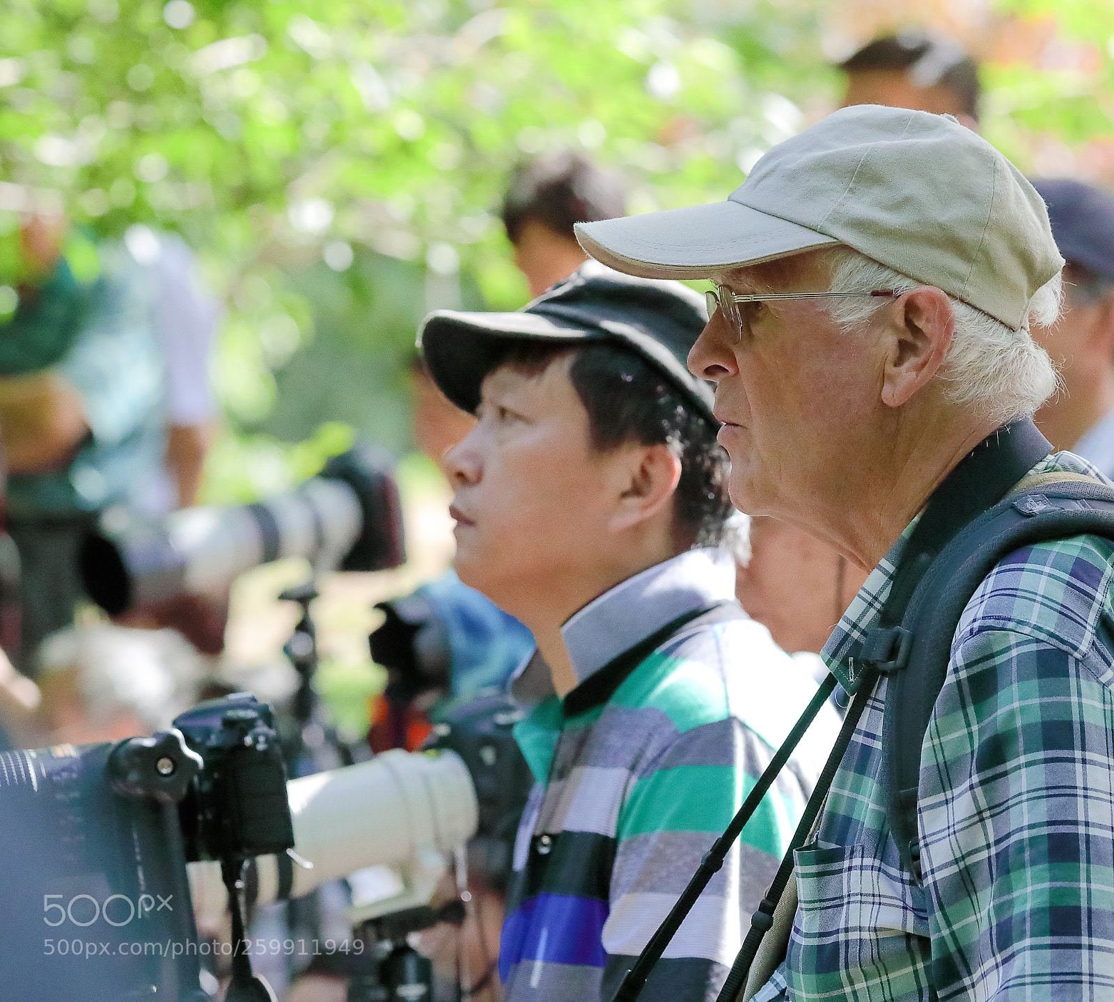 Canon EOS-1D X Mark II sample photo. Untitled photography
