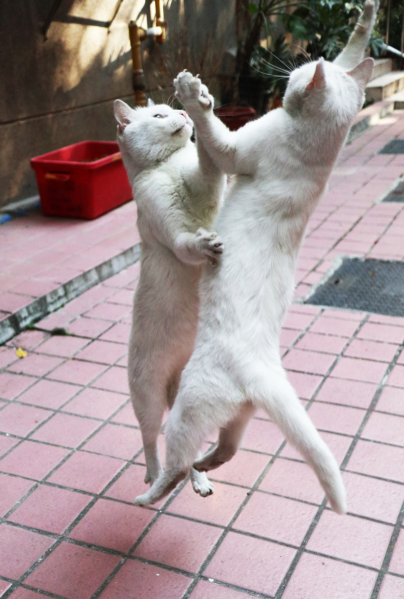 Canon EOS M100 sample photo. Img photography
