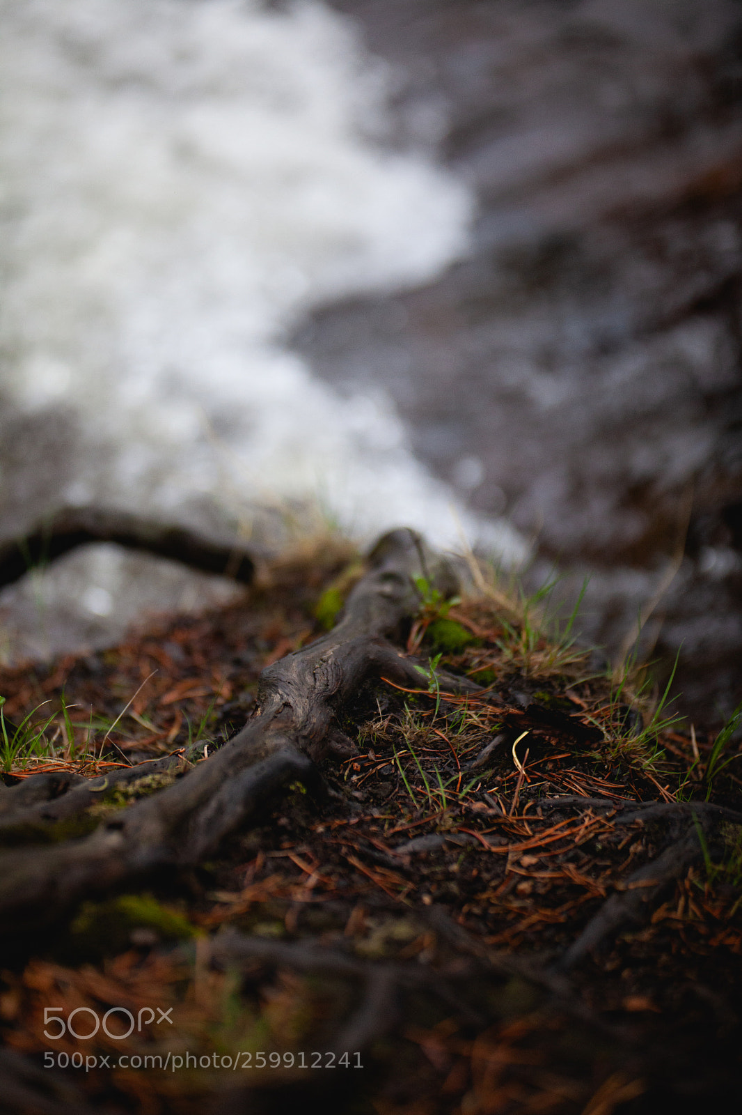 Canon EOS 5D Mark II sample photo. Untitled photography