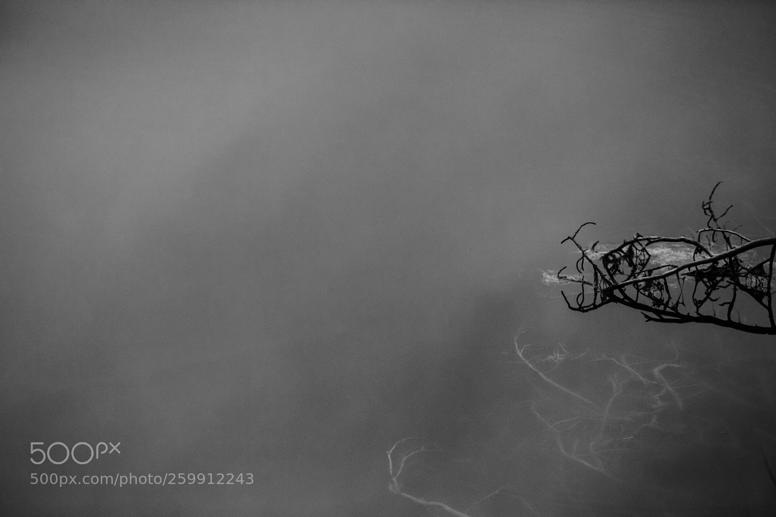 Canon EOS 5D Mark II sample photo. Untitled photography