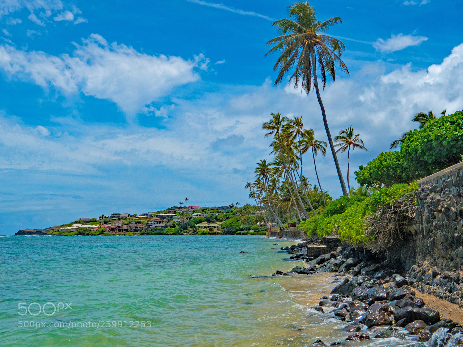 Olympus OM-D E-M5 II sample photo. Kahala shores photography