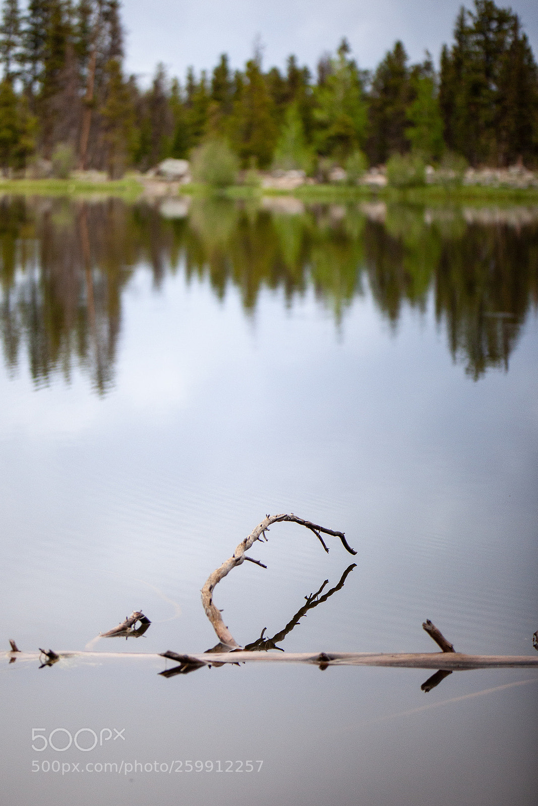 Canon EOS 5D Mark II sample photo. Untitled photography