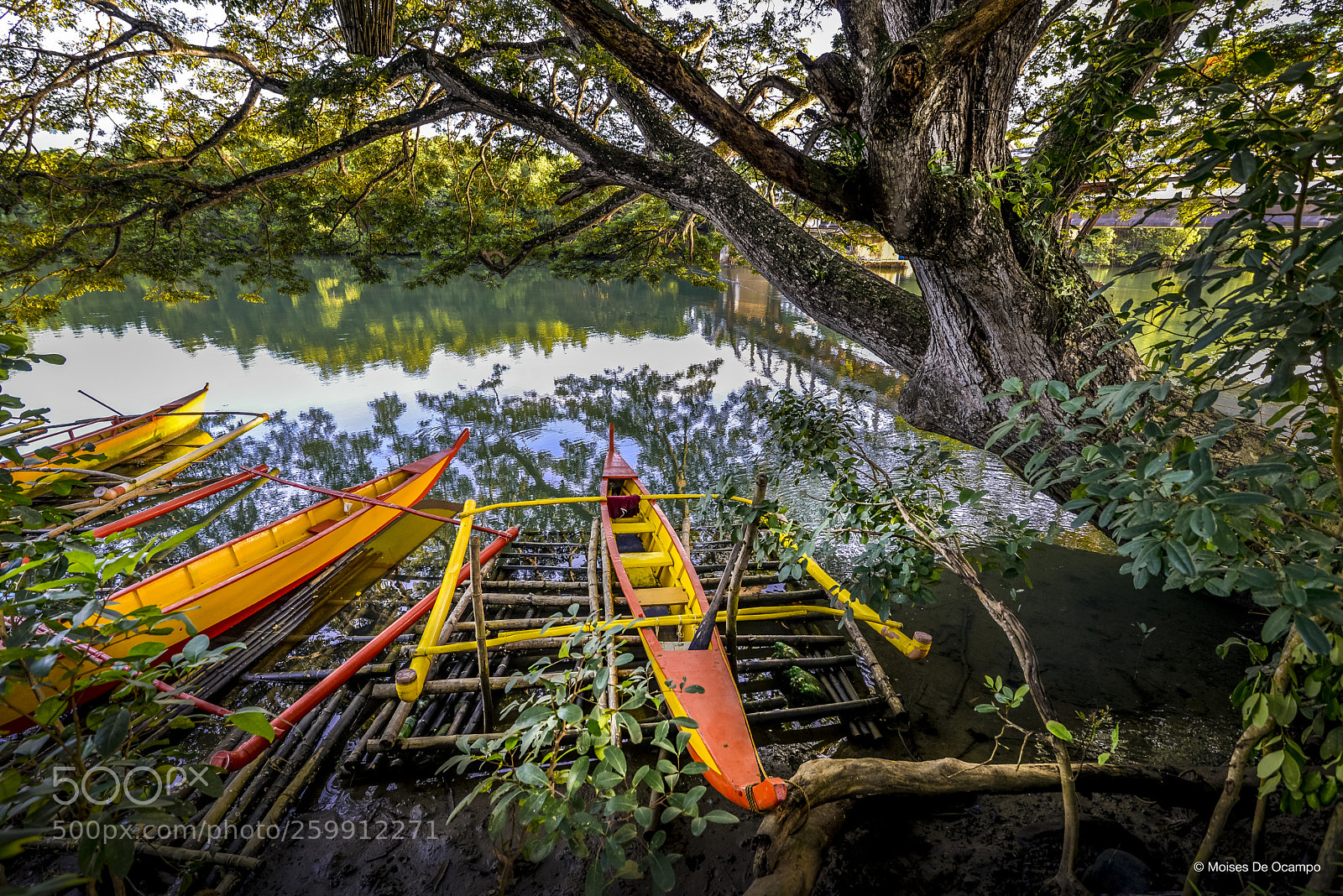 Nikon D610 sample photo. Iwahig bancas photography