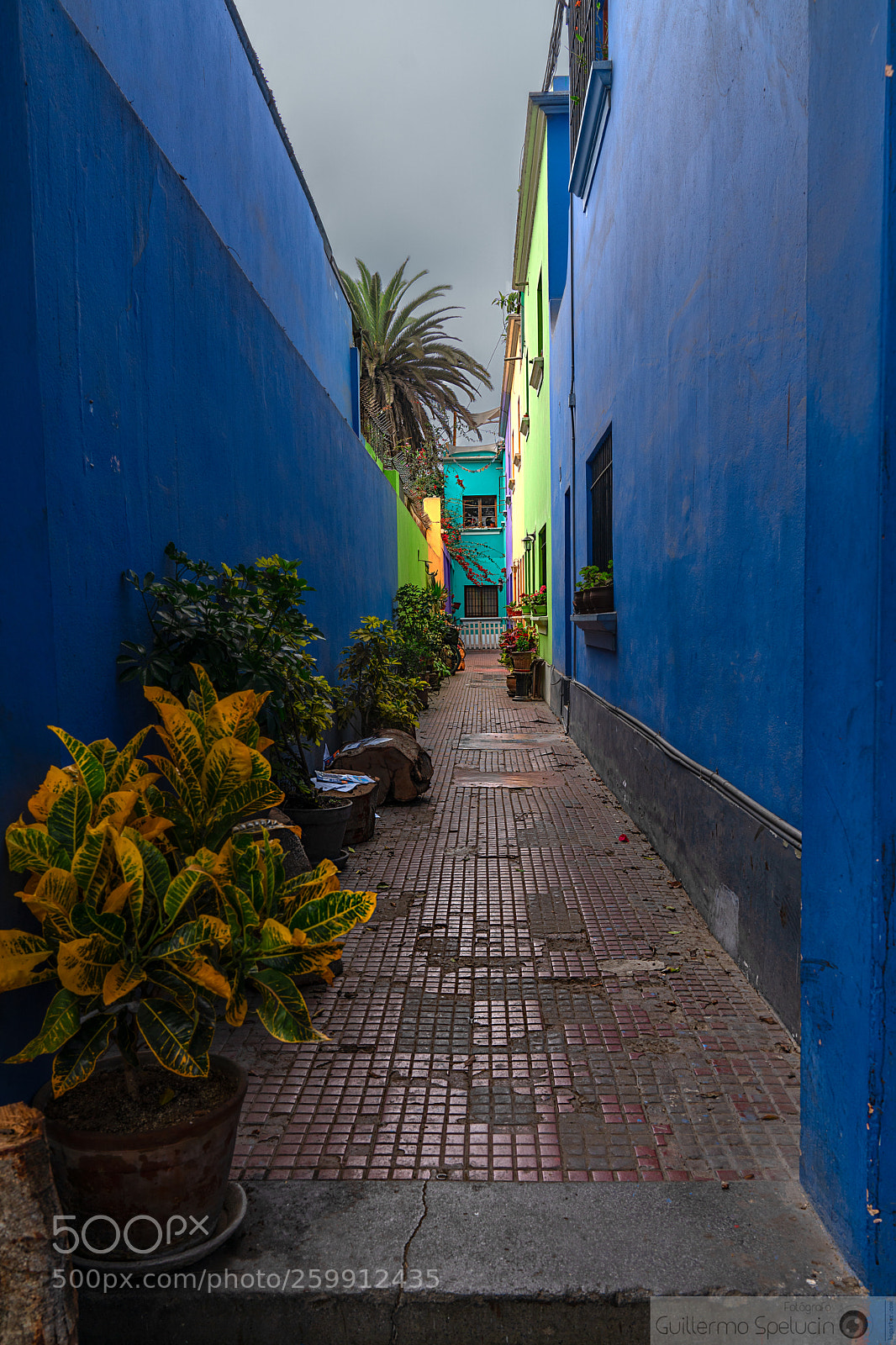 Sony a7R III sample photo. Pasaje en la quinta photography