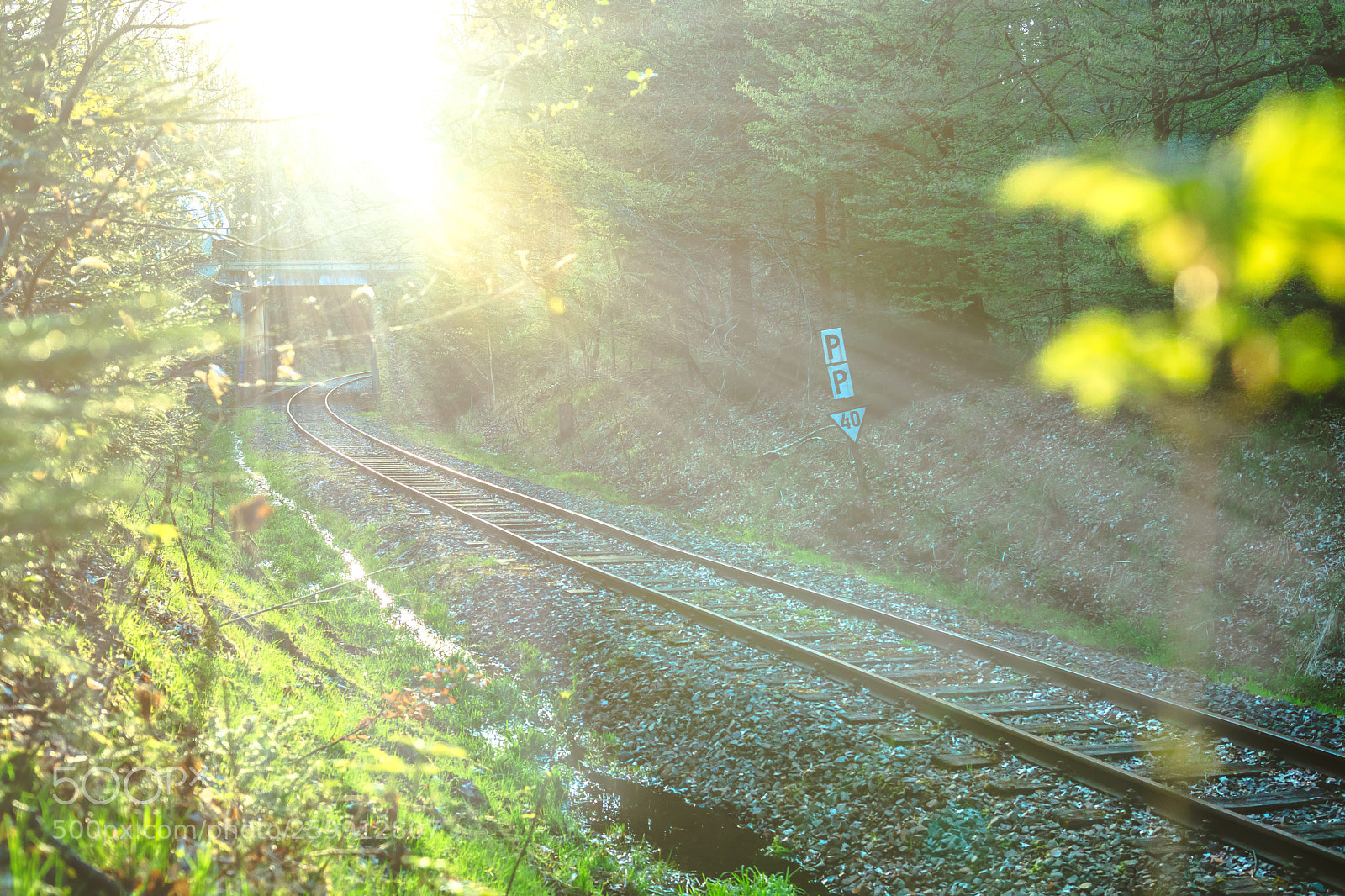 Canon EOS 80D sample photo. Sunny trail photography
