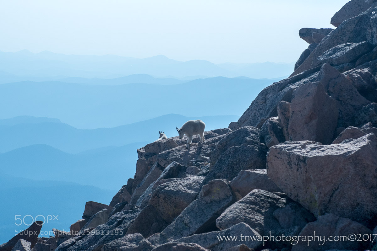 Nikon D500 sample photo. What a view!! photography
