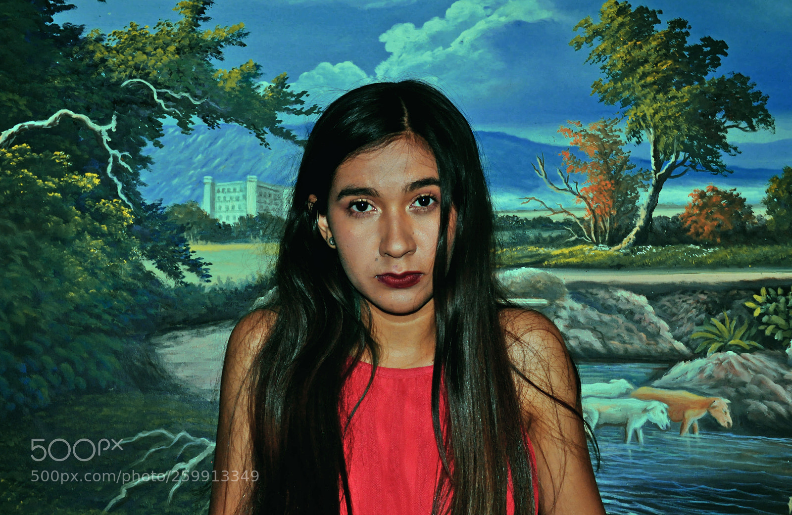 Nikon D5000 sample photo. Art photography