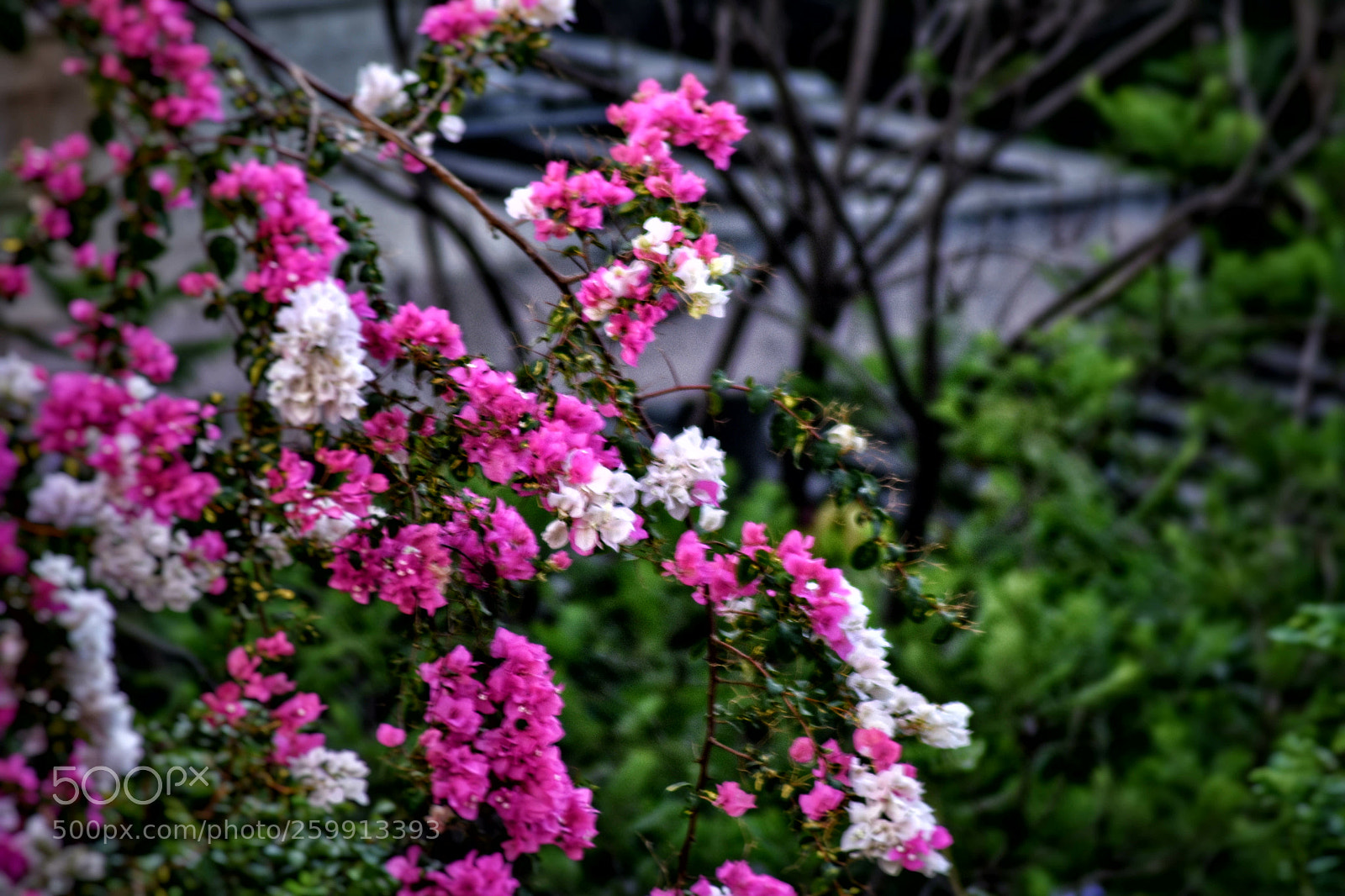 Nikon D3400 sample photo. Untitled photography