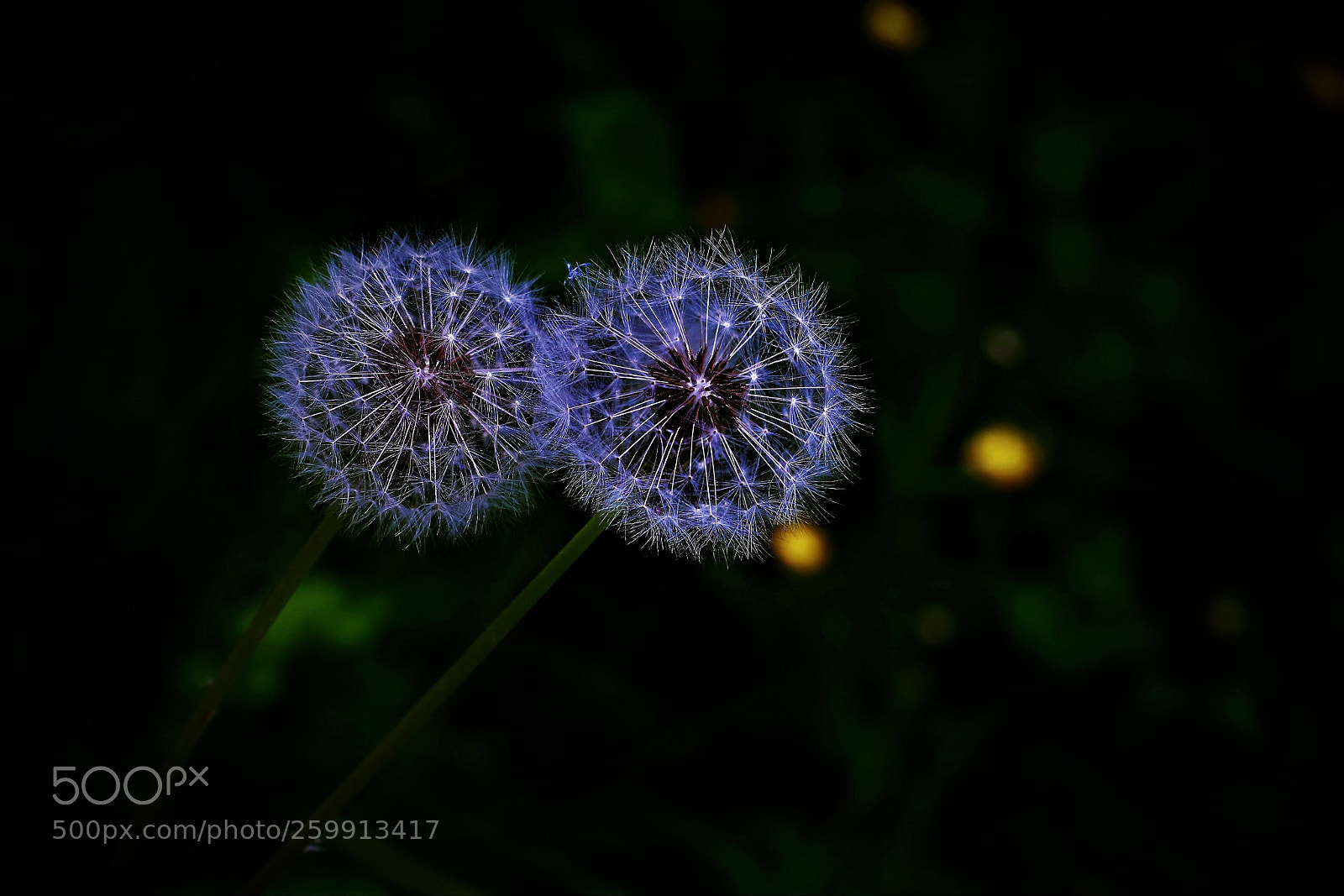 Canon EOS 6D Mark II sample photo. Before fly up -- 在起飞之前 photography