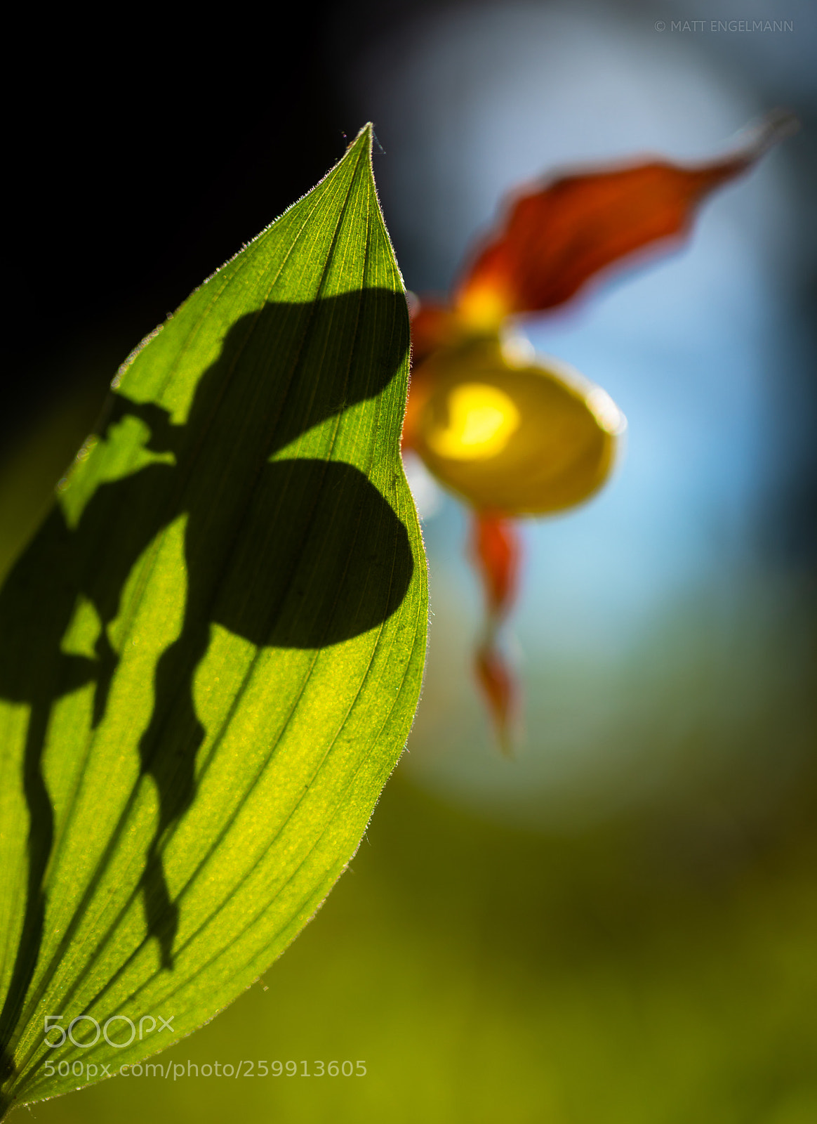 Canon EOS 5D Mark IV sample photo. The lady`s shadow photography