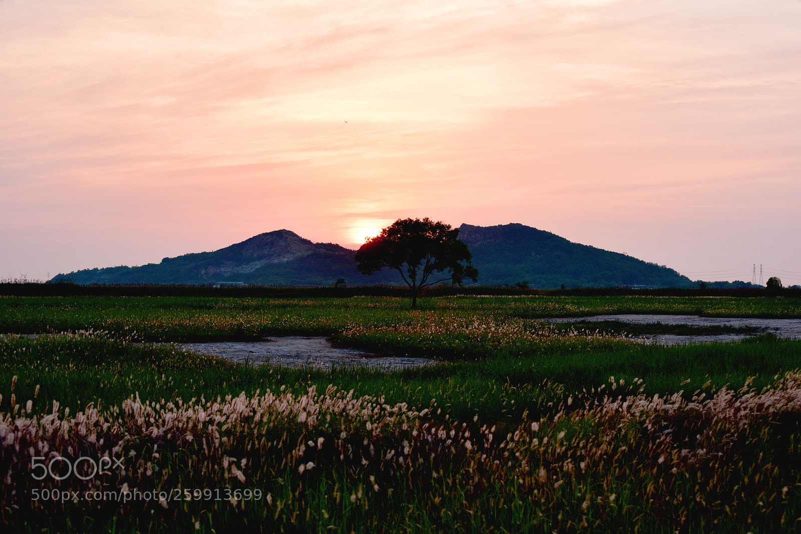 Nikon D810 sample photo. Untitled photography