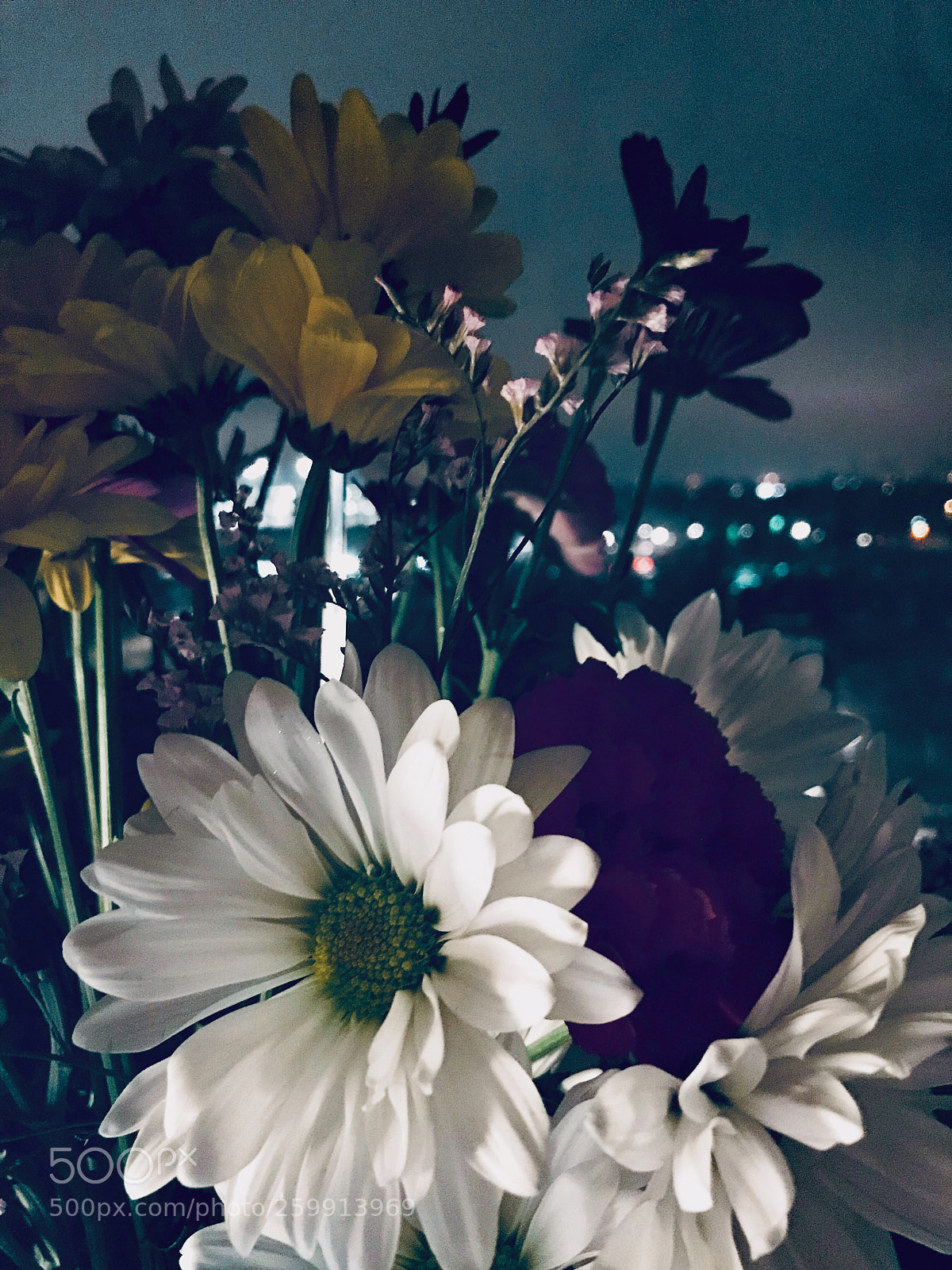Apple iPhone 7 Plus sample photo. Untitled photography