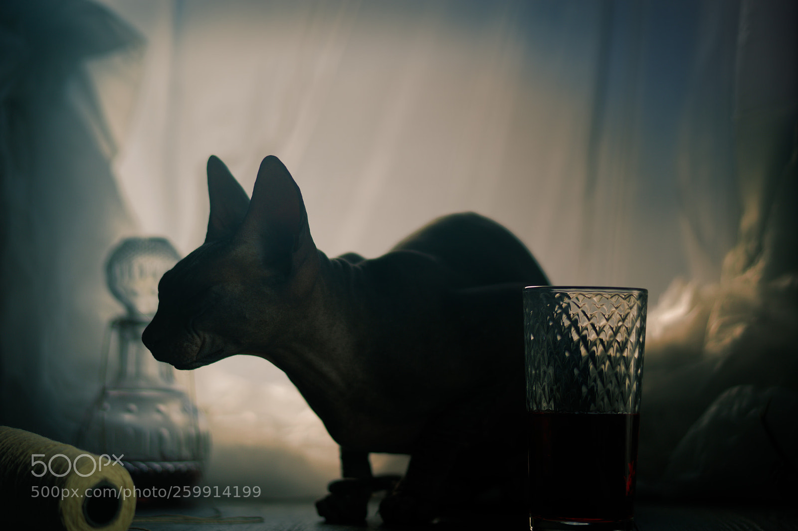 Sony a7 II sample photo. Замыслы photography