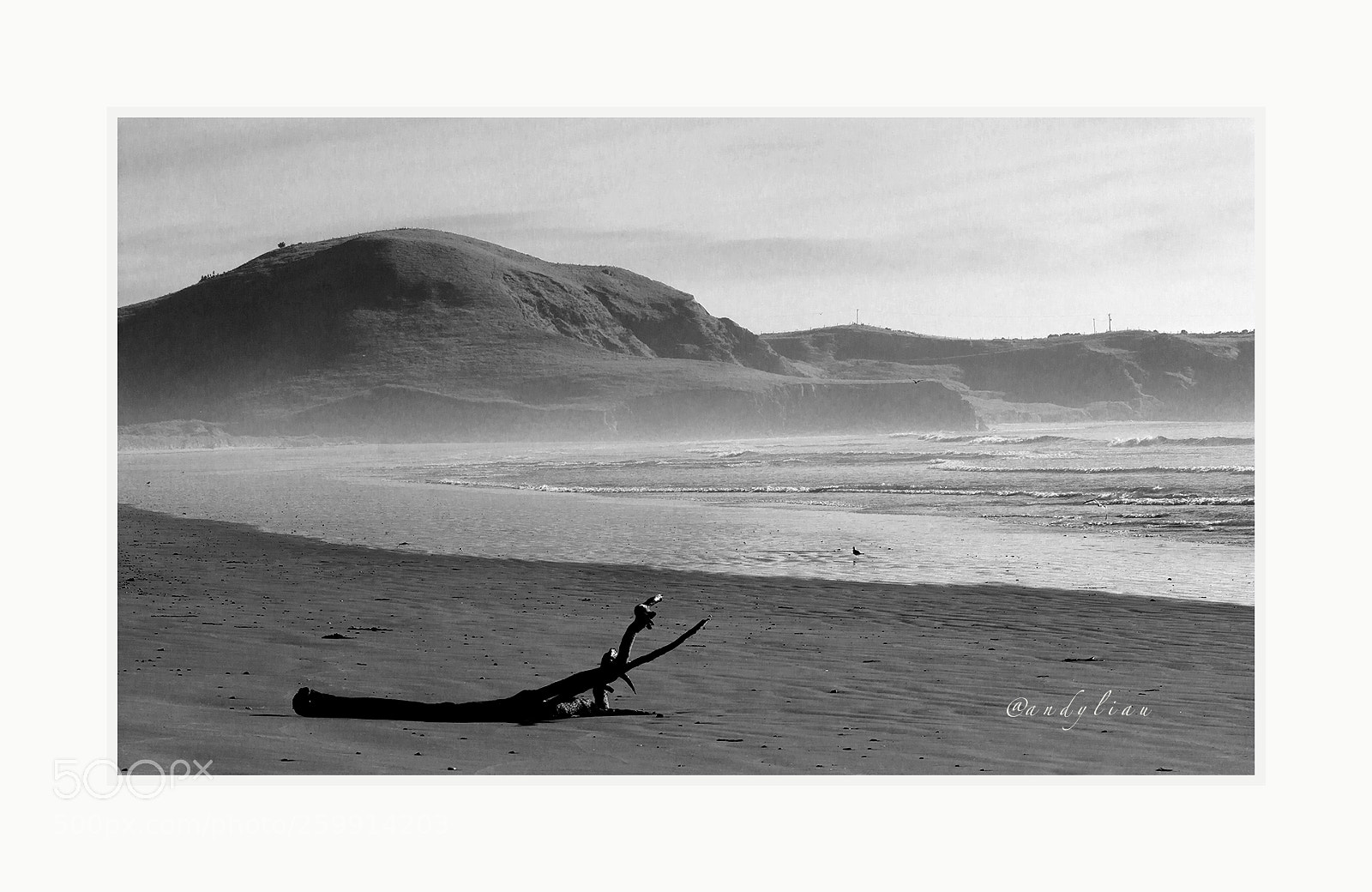 Canon EOS 60D sample photo. Alone photography