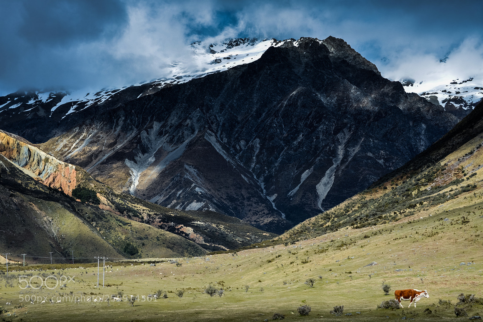 Nikon D600 sample photo. Nz photography
