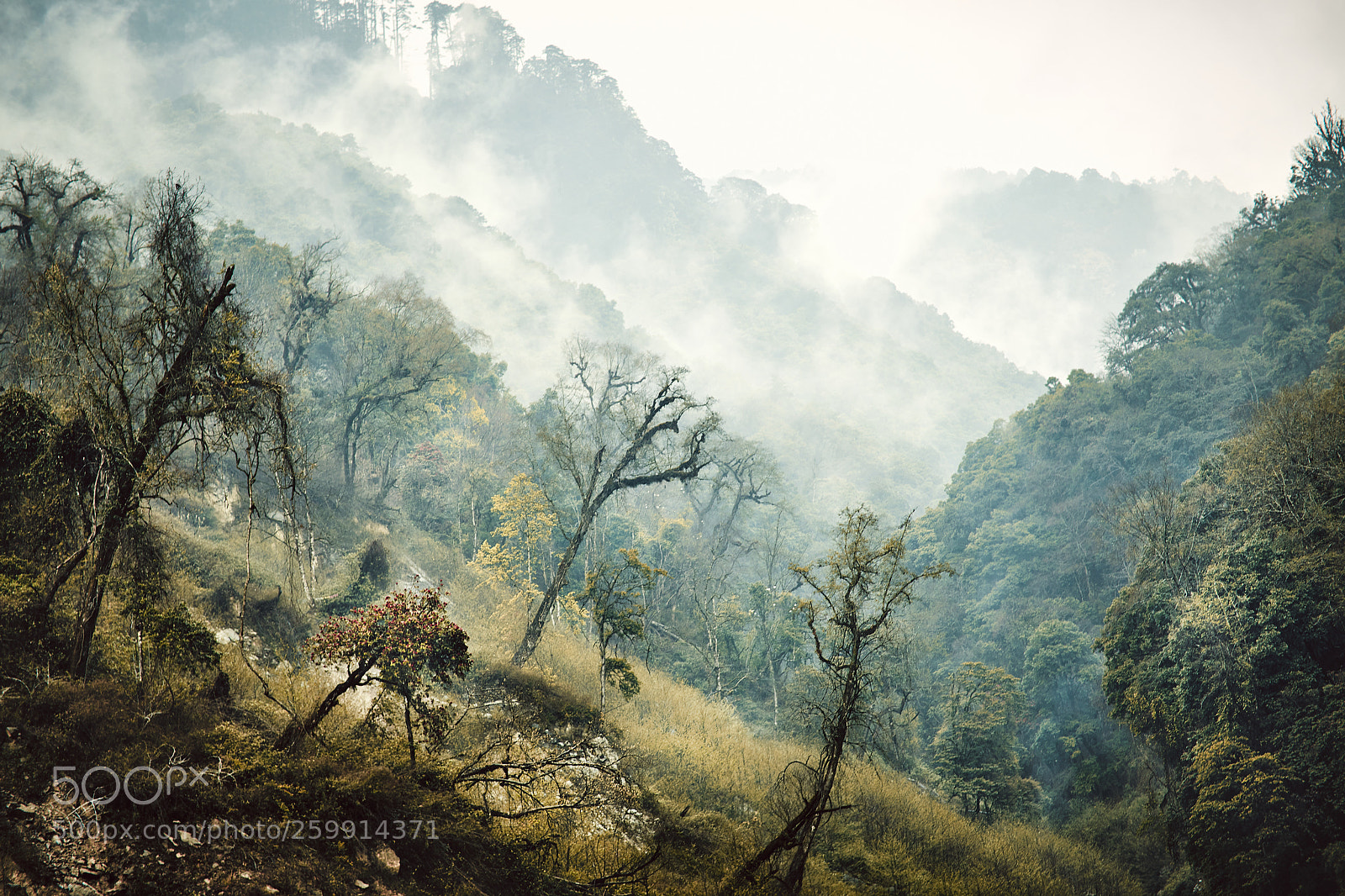 Canon EOS 5D Mark IV sample photo. Bhutan: the lost valley. photography