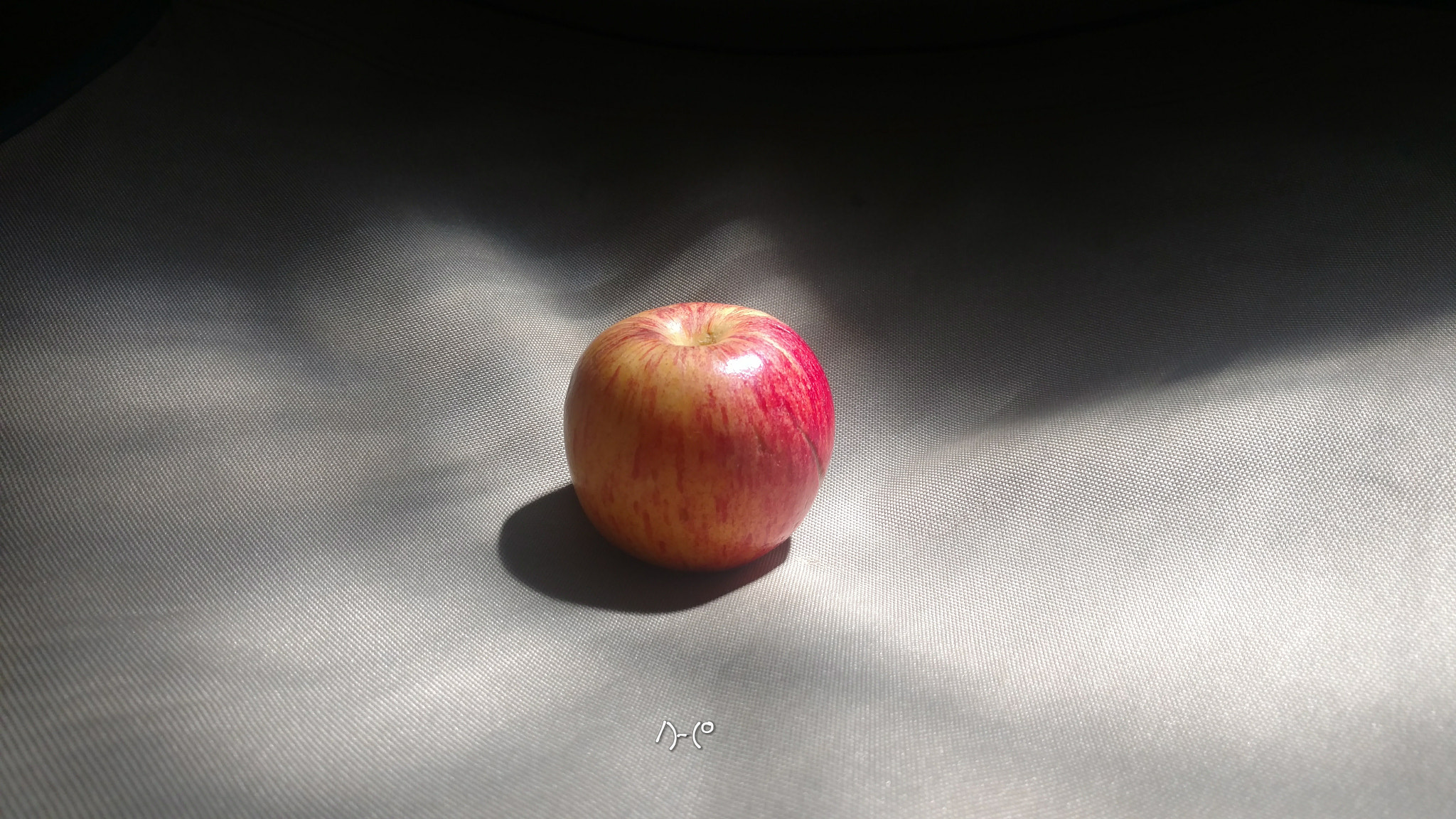 Motorola Moto X Style sample photo. Apple photography