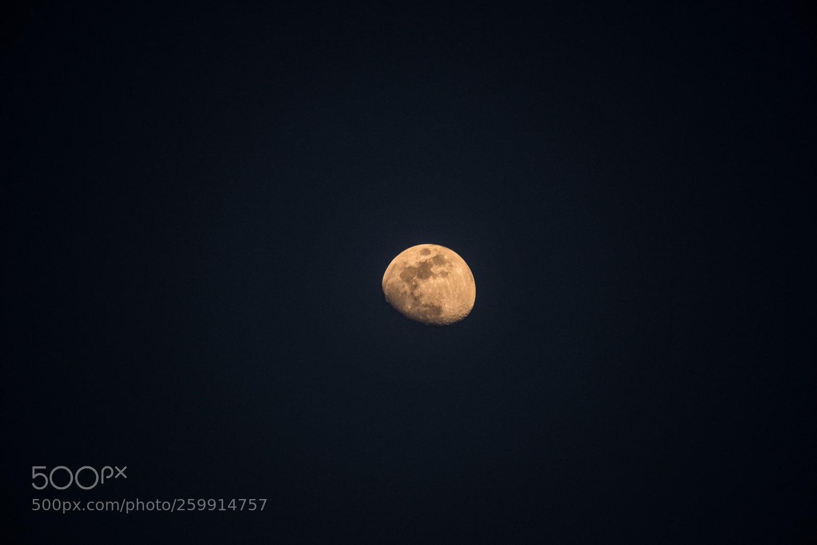 Nikon D5300 sample photo. Moon photography