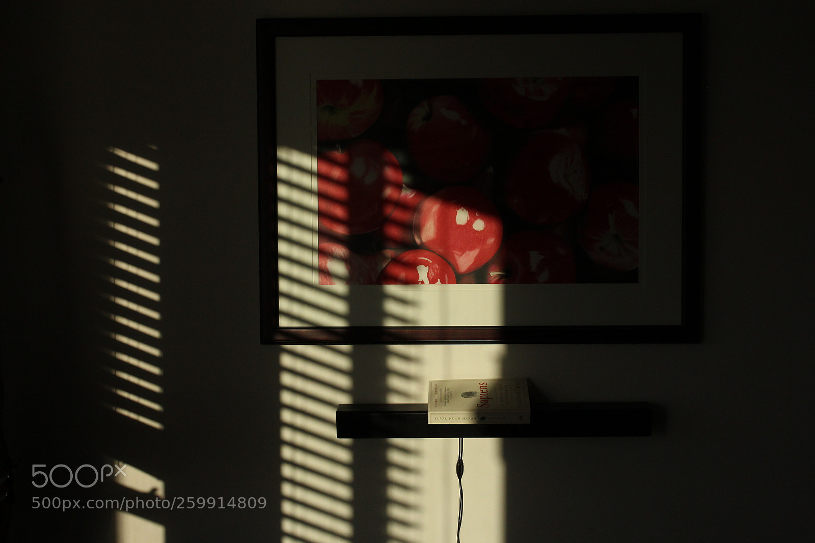 Canon EOS 700D (EOS Rebel T5i / EOS Kiss X7i) sample photo. Blinds photography