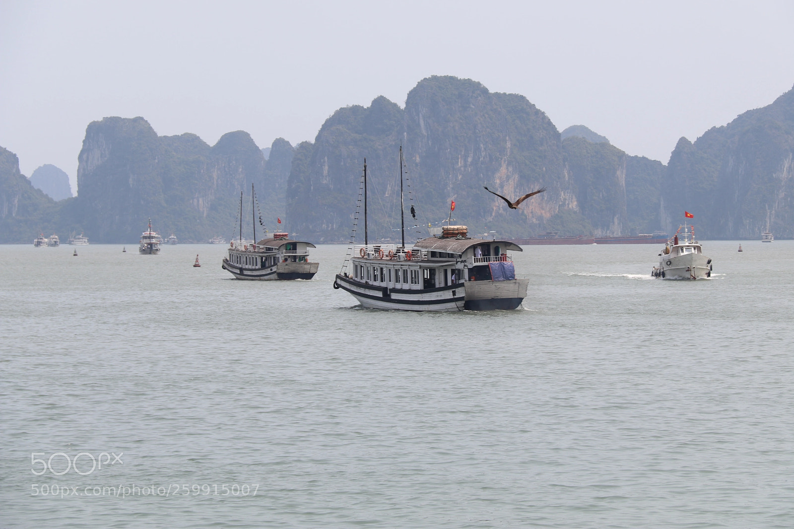 Canon EOS 80D sample photo. Ha-long-bay-2018.jpg photography