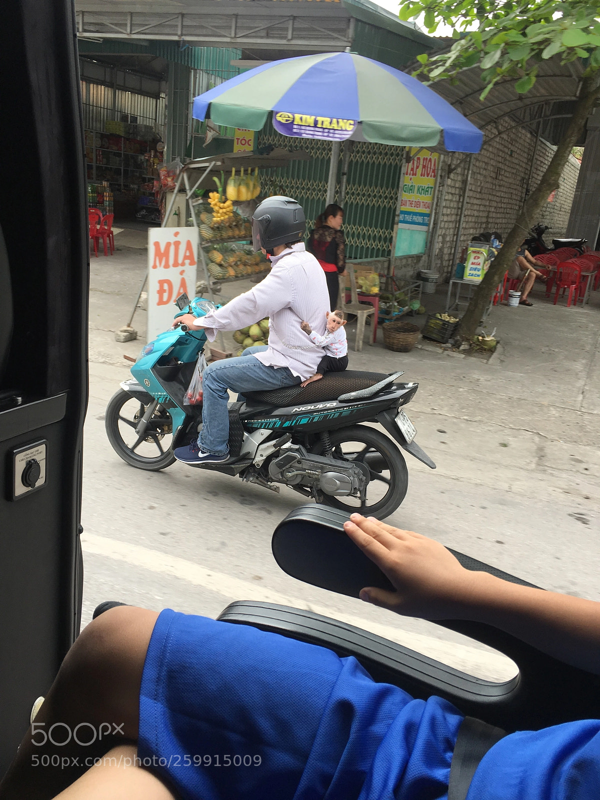 Apple iPhone 6s sample photo. Monkey-2018.jpg photography