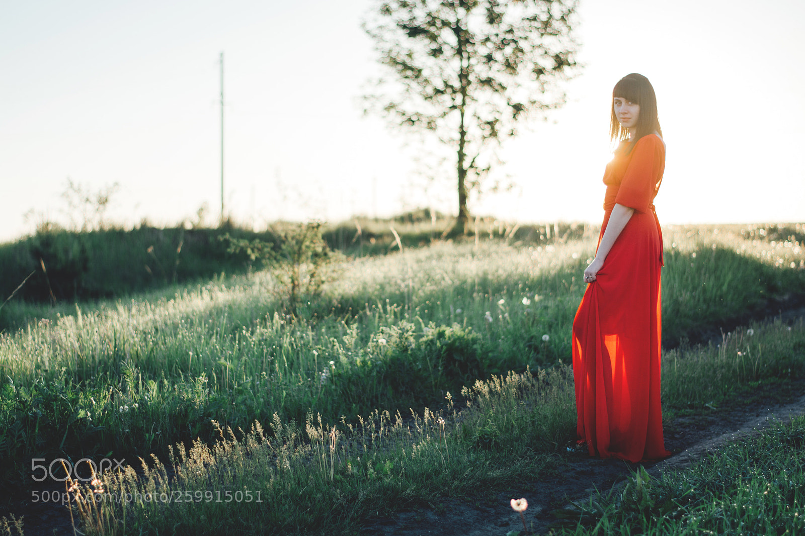 Nikon D5200 sample photo. . photography