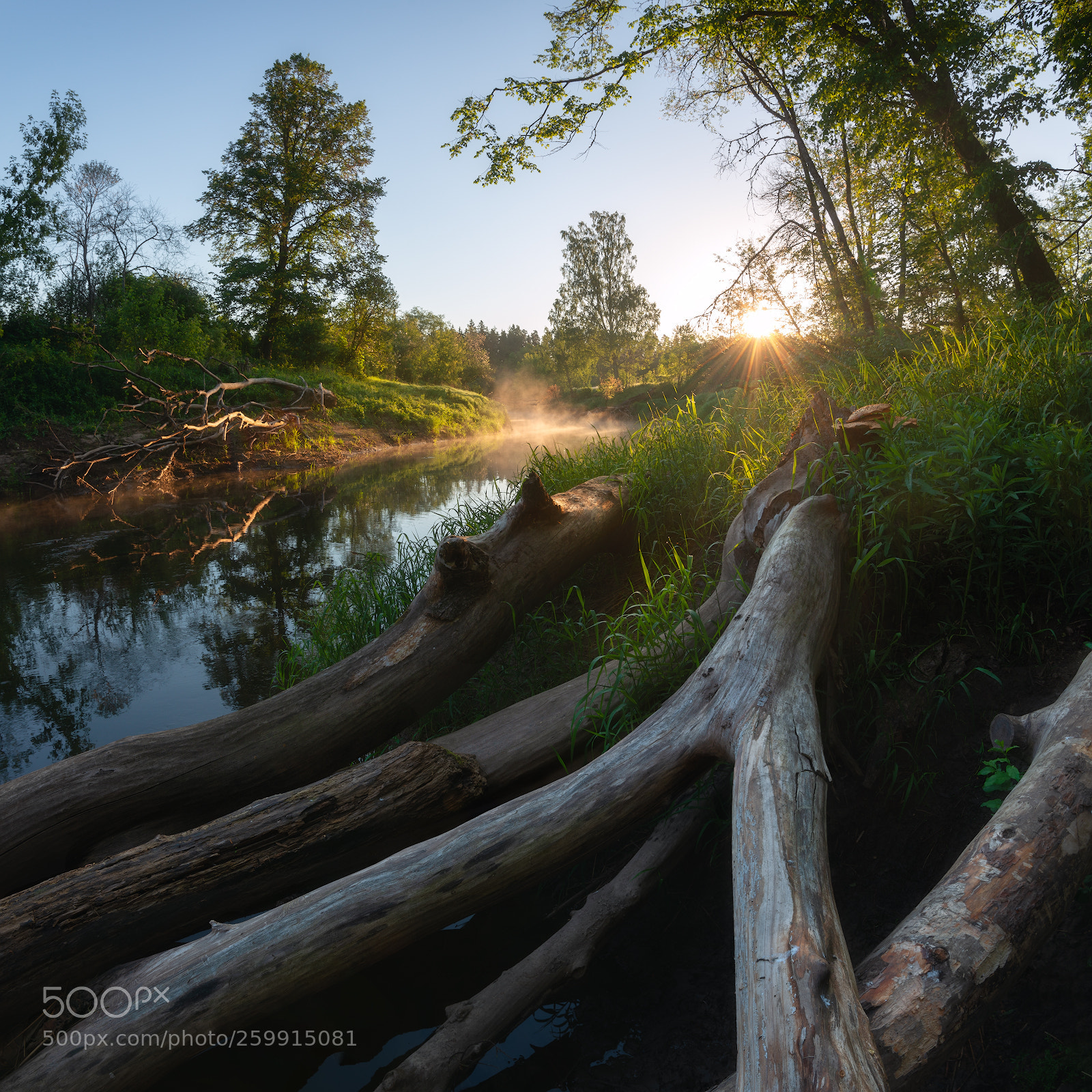Nikon D800 sample photo. Sunny morning photography