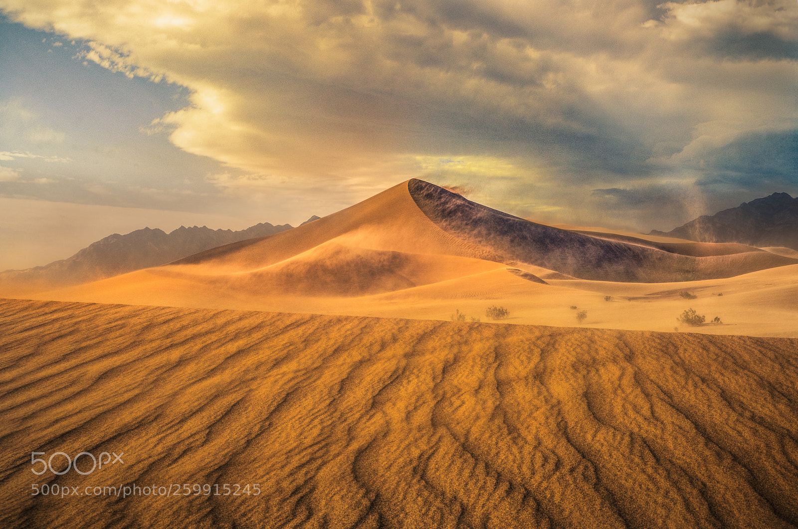 Nikon D850 sample photo. Sandstorm at ibex 4 photography