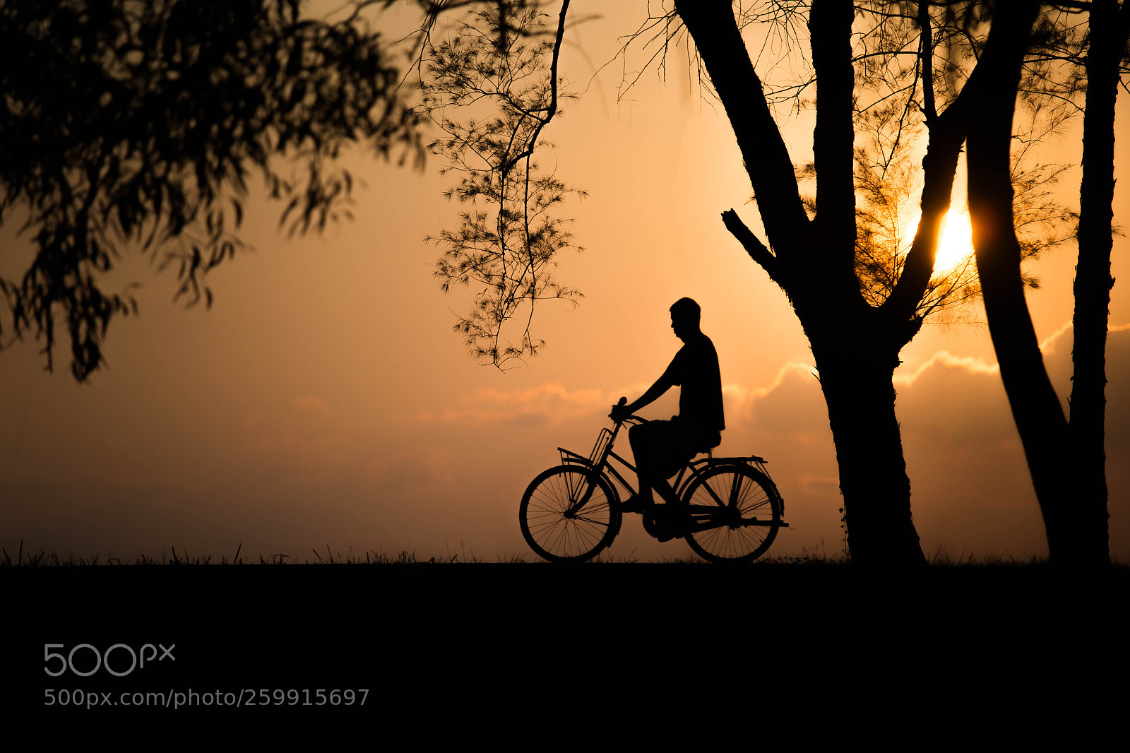 Canon EOS 6D sample photo. Edit photography