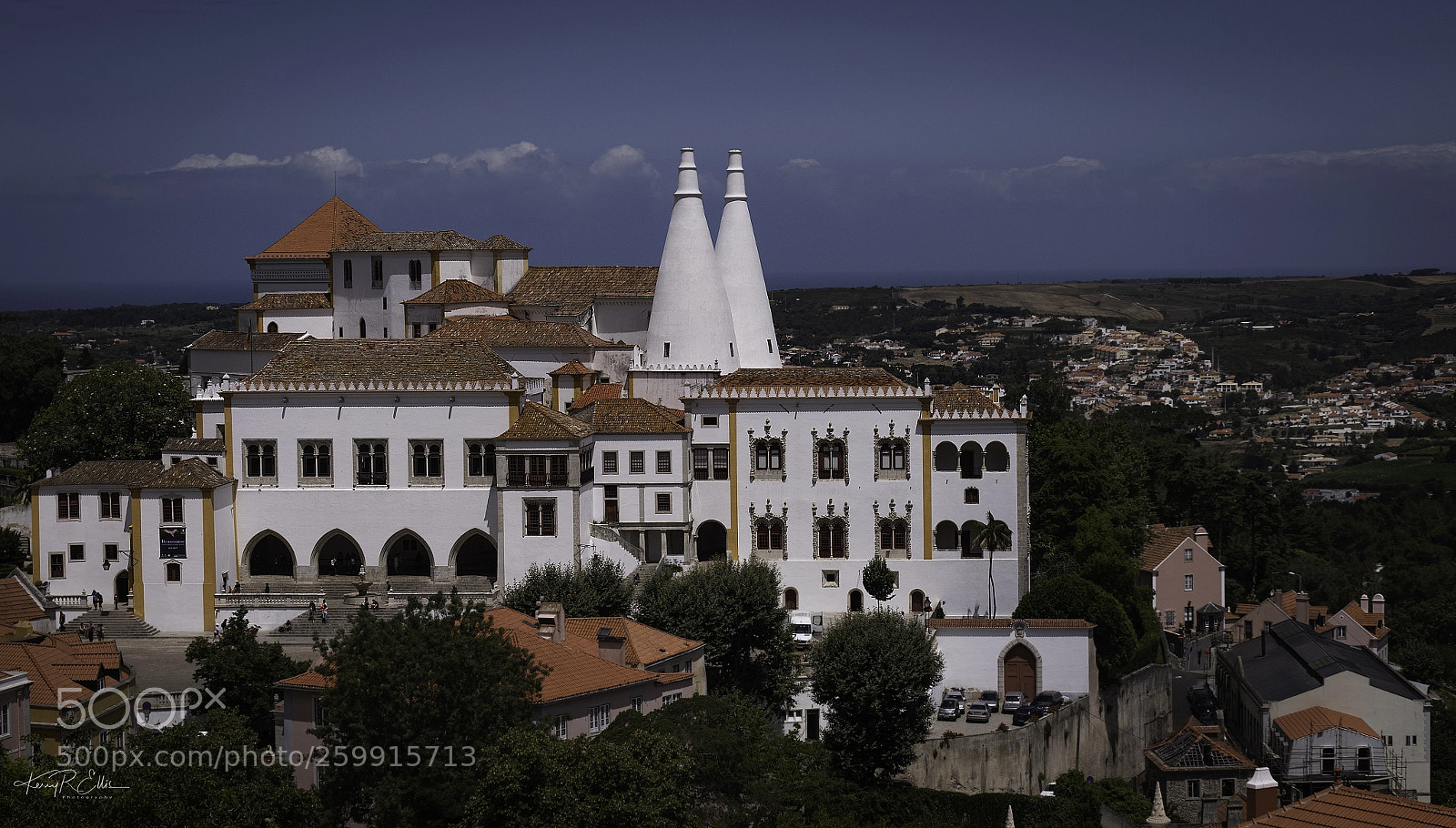 Nikon D810 sample photo. Palace of sintra photography