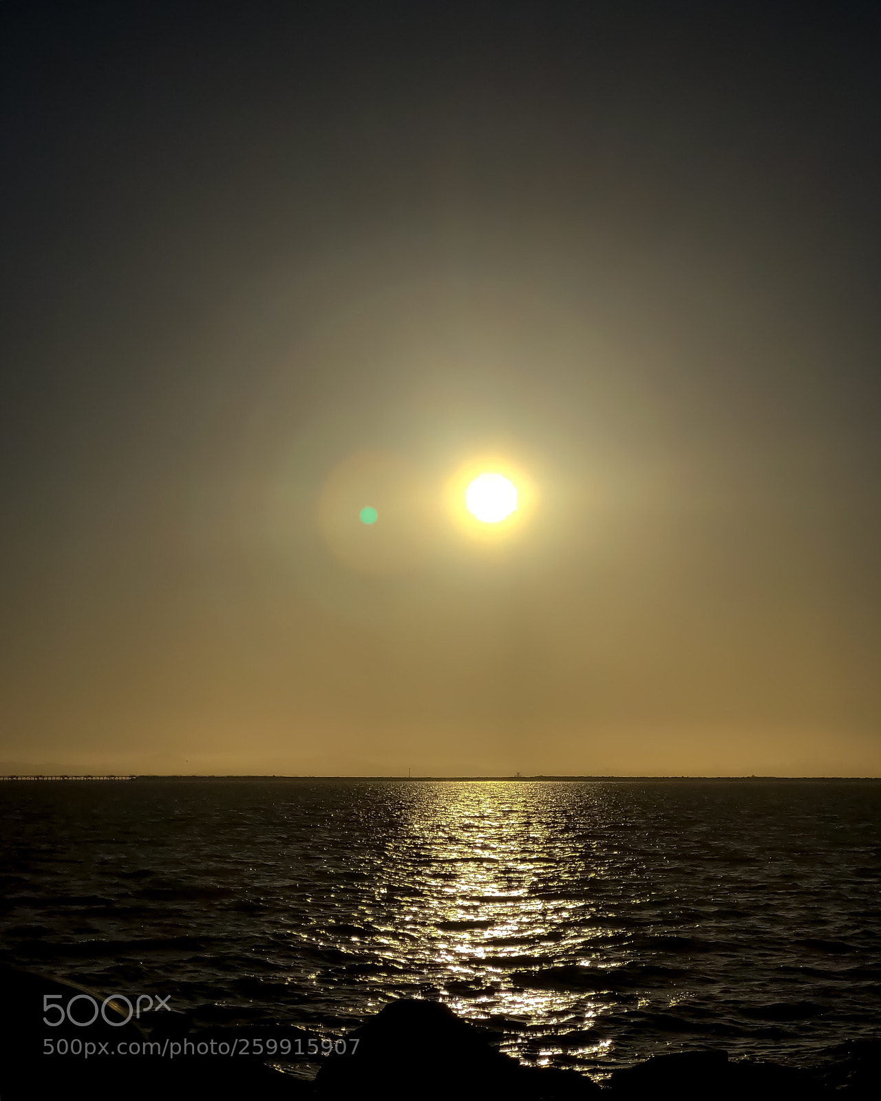 Apple iPhone 8 Plus sample photo. Marina view  photography