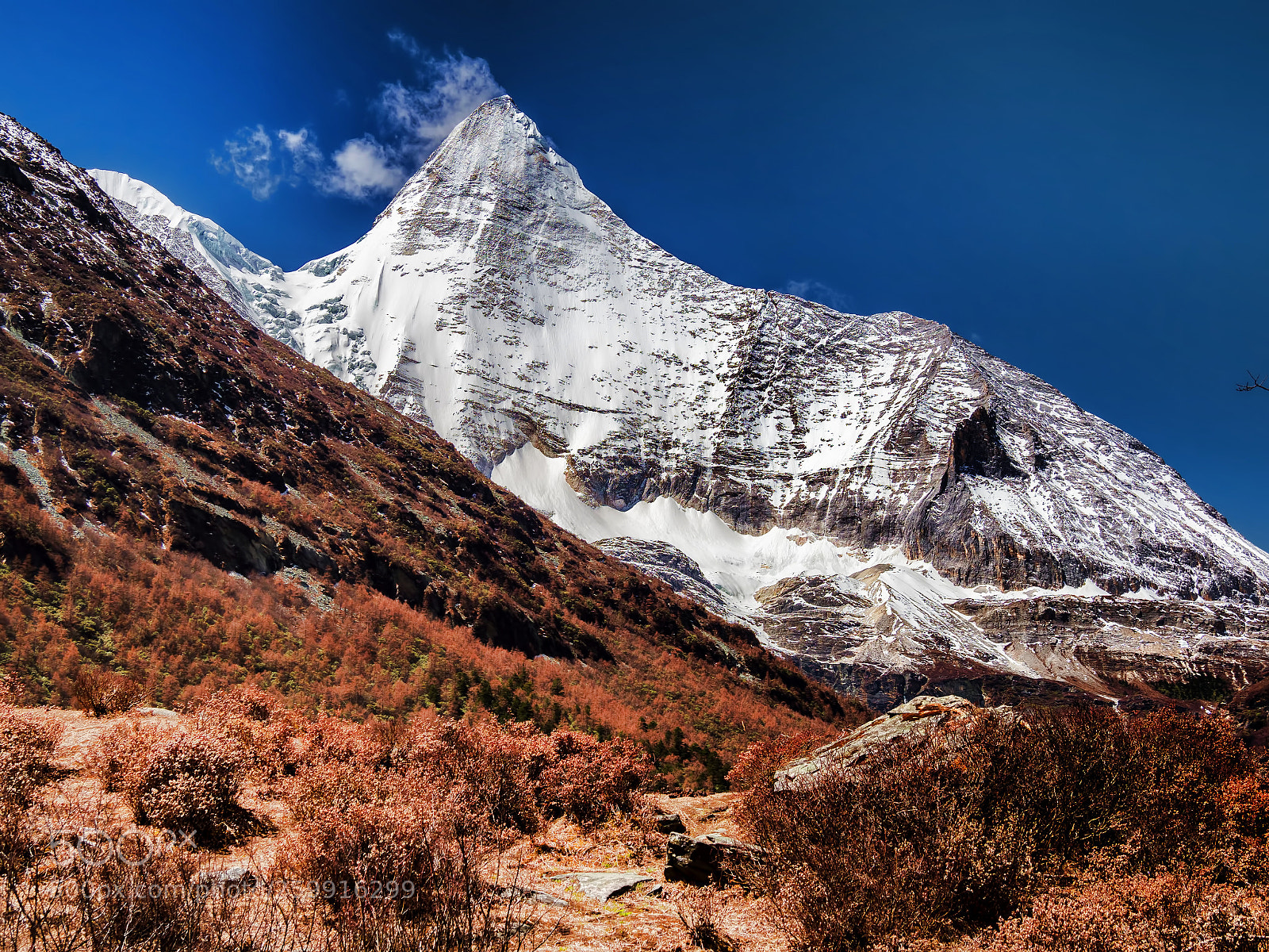 Olympus OM-D E-M1 Mark II sample photo. Yading nature reserve of photography