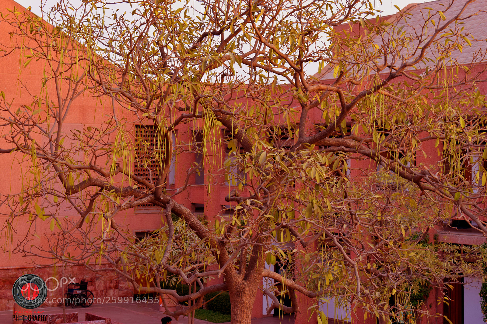 Nikon D3300 sample photo. Aga khan university photography