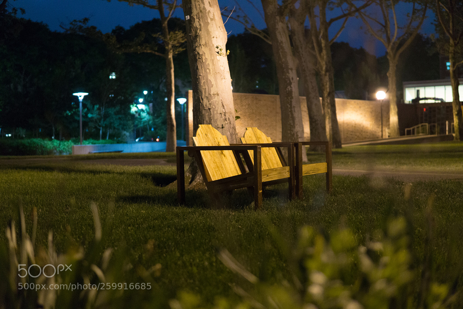 Sony a6000 sample photo. Dsc photography