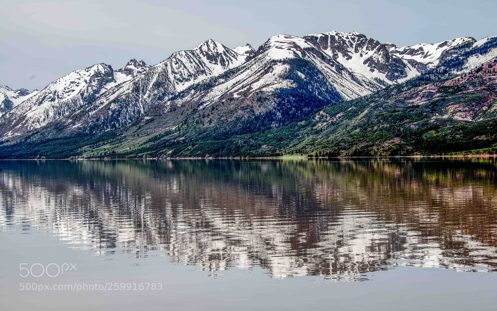 Nikon D800 sample photo. Morning at grand teton photography