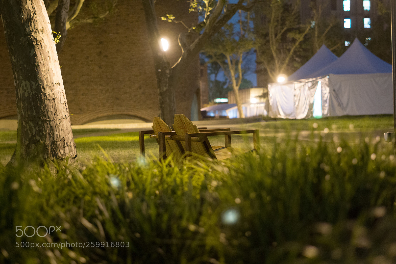 Sony a6000 sample photo. Dsc photography