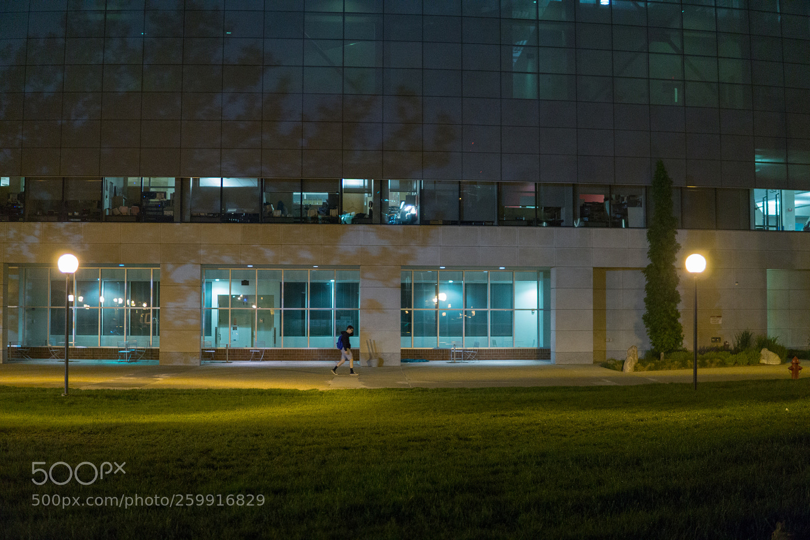 Sony a6000 sample photo. Dsc photography