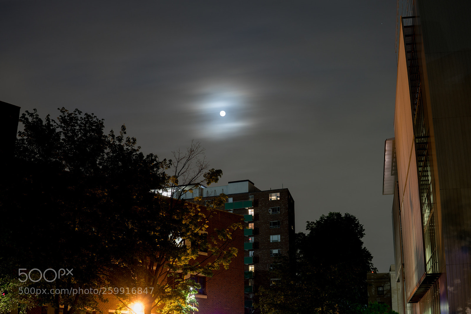 Sony a6000 sample photo. Dsc photography