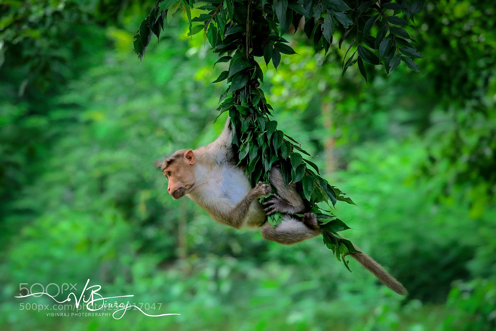 Canon EOS 80D sample photo. Canon 80d photography