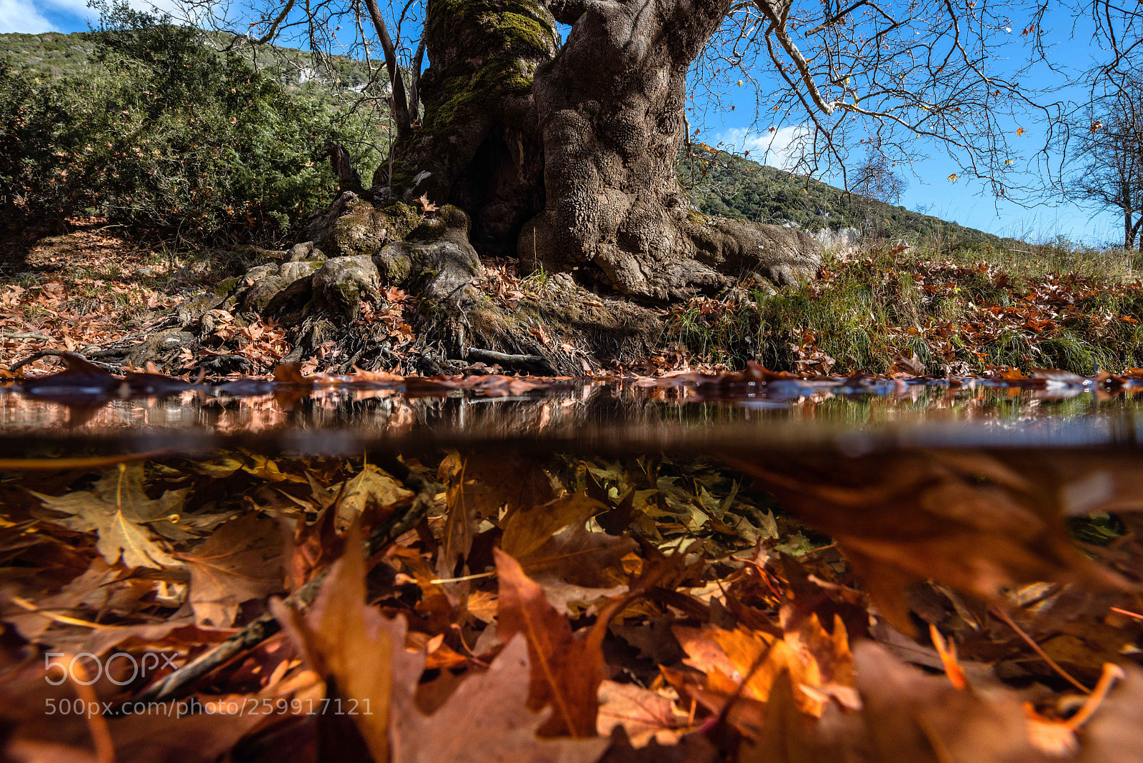 Nikon D600 sample photo. *** photography