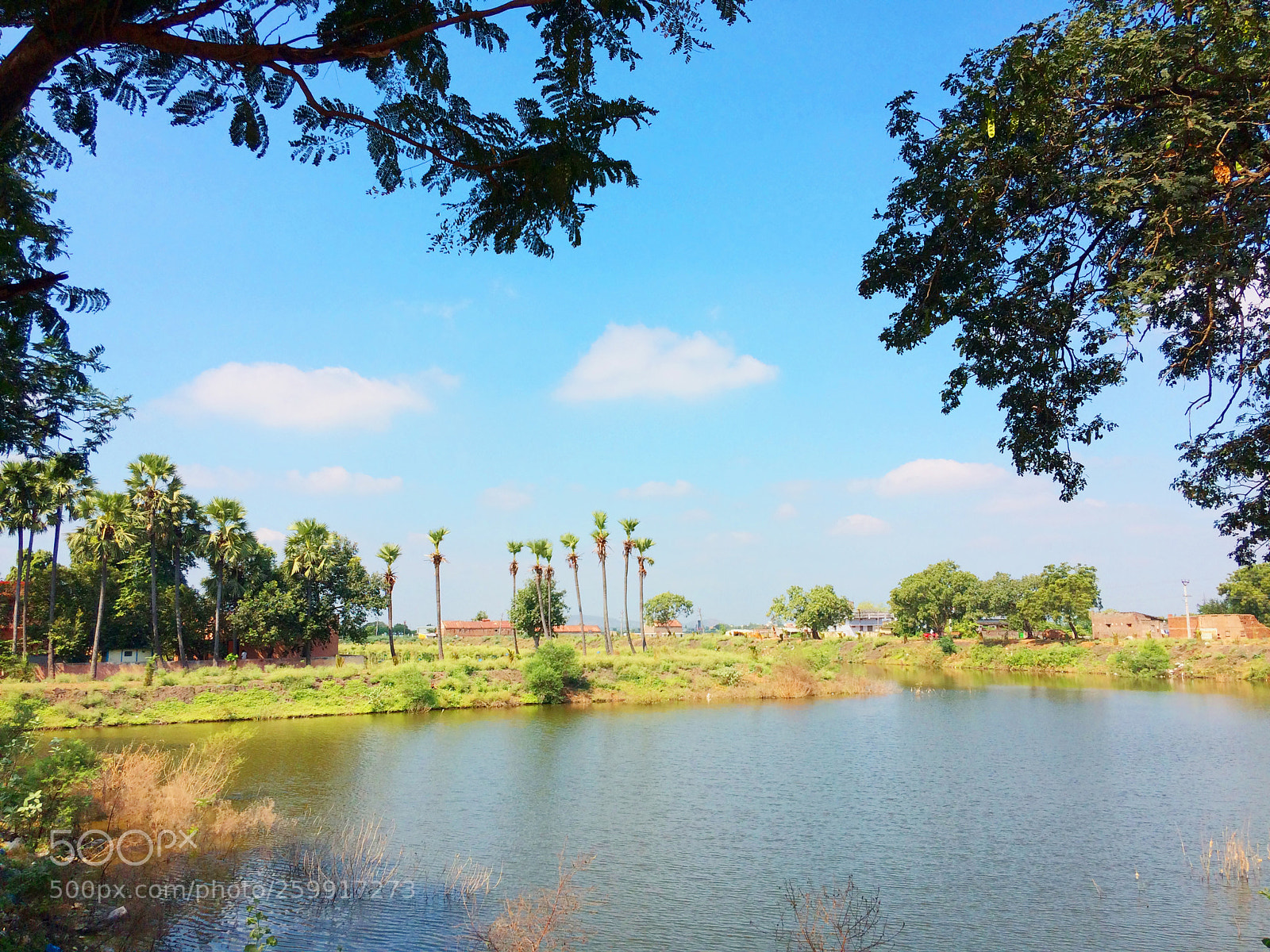 Apple iPhone 5s sample photo. Lake photography