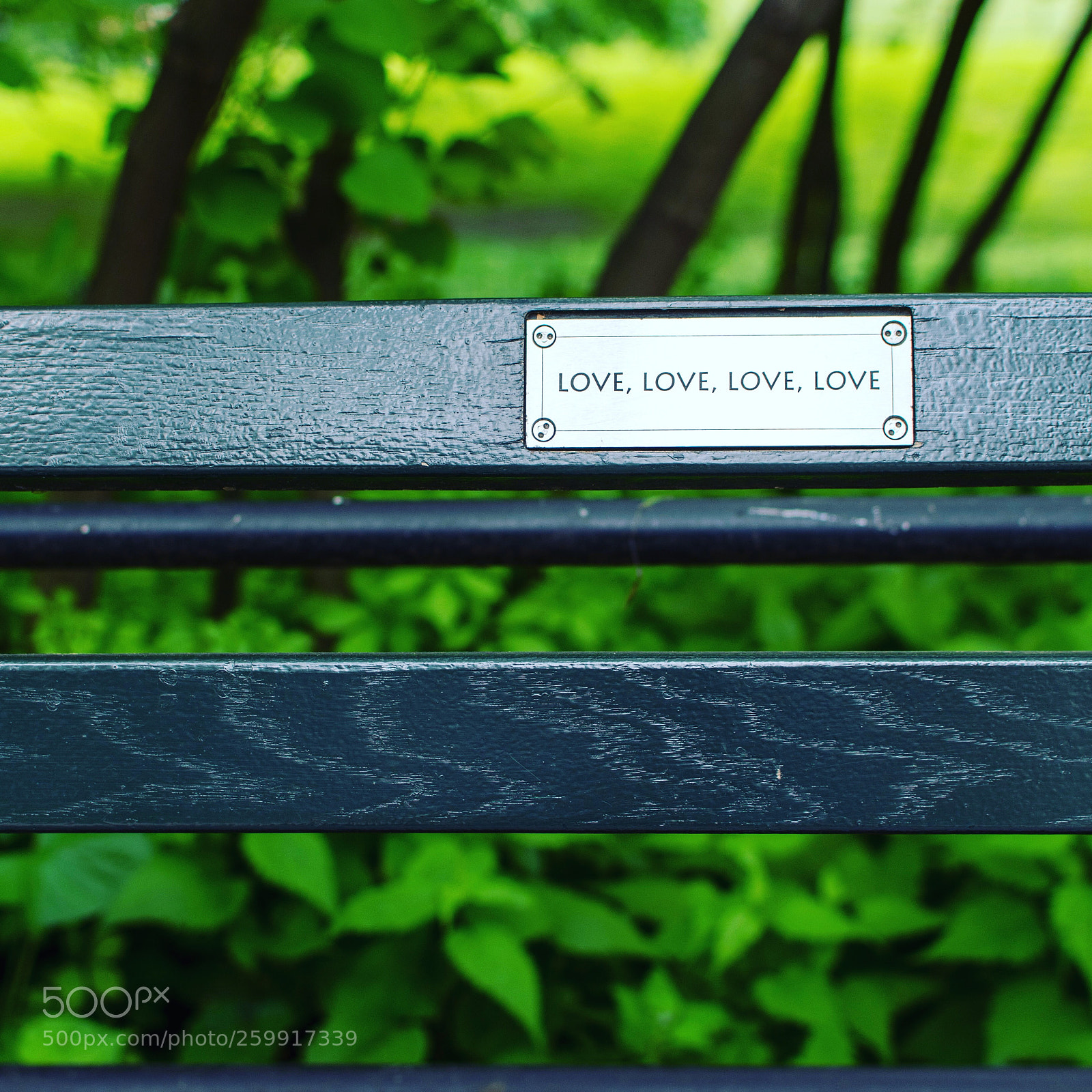 Nikon D500 sample photo. Untitled photography