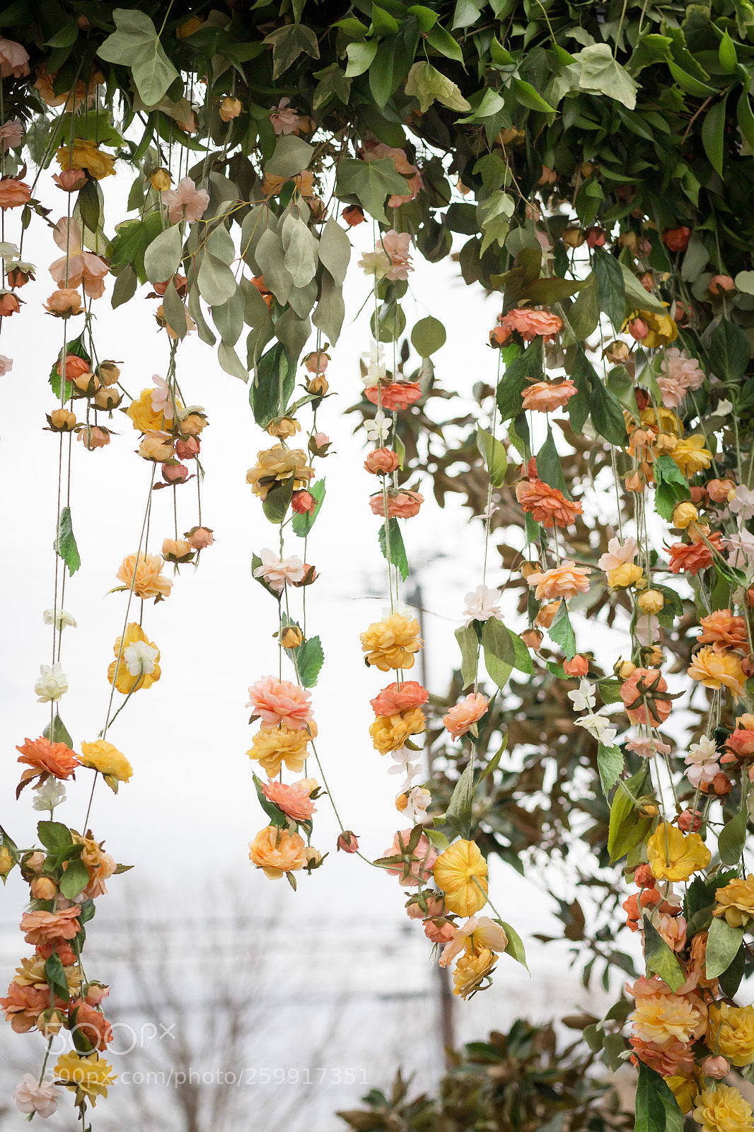 Canon EOS 700D (EOS Rebel T5i / EOS Kiss X7i) sample photo. Falling flowers photography