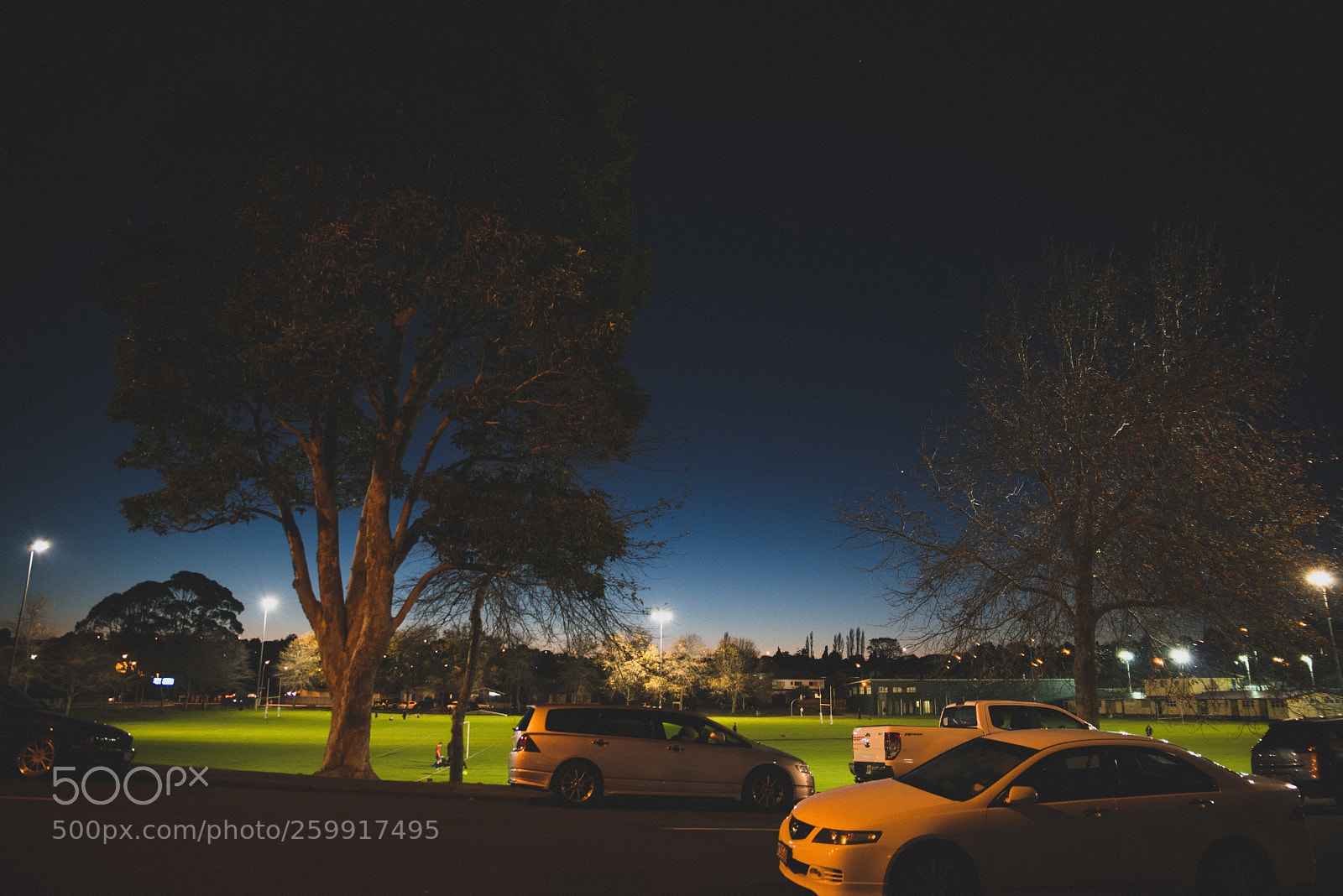 Nikon D800 sample photo. Grew up at midnight photography