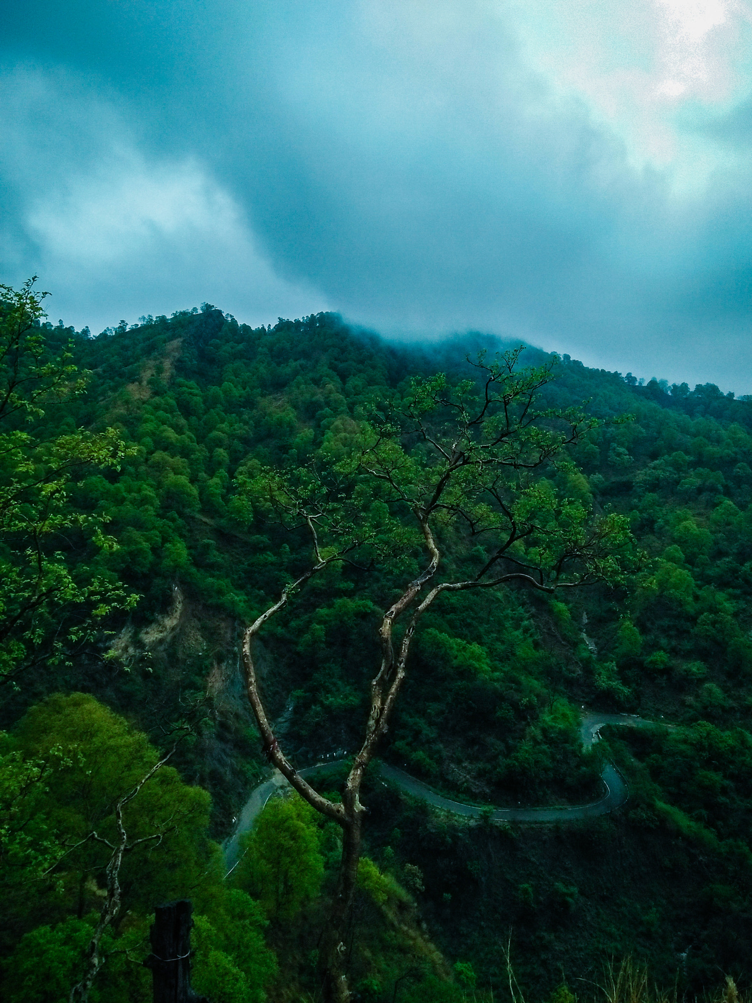 OPPO A37fw-International sample photo. Nature at its best photography