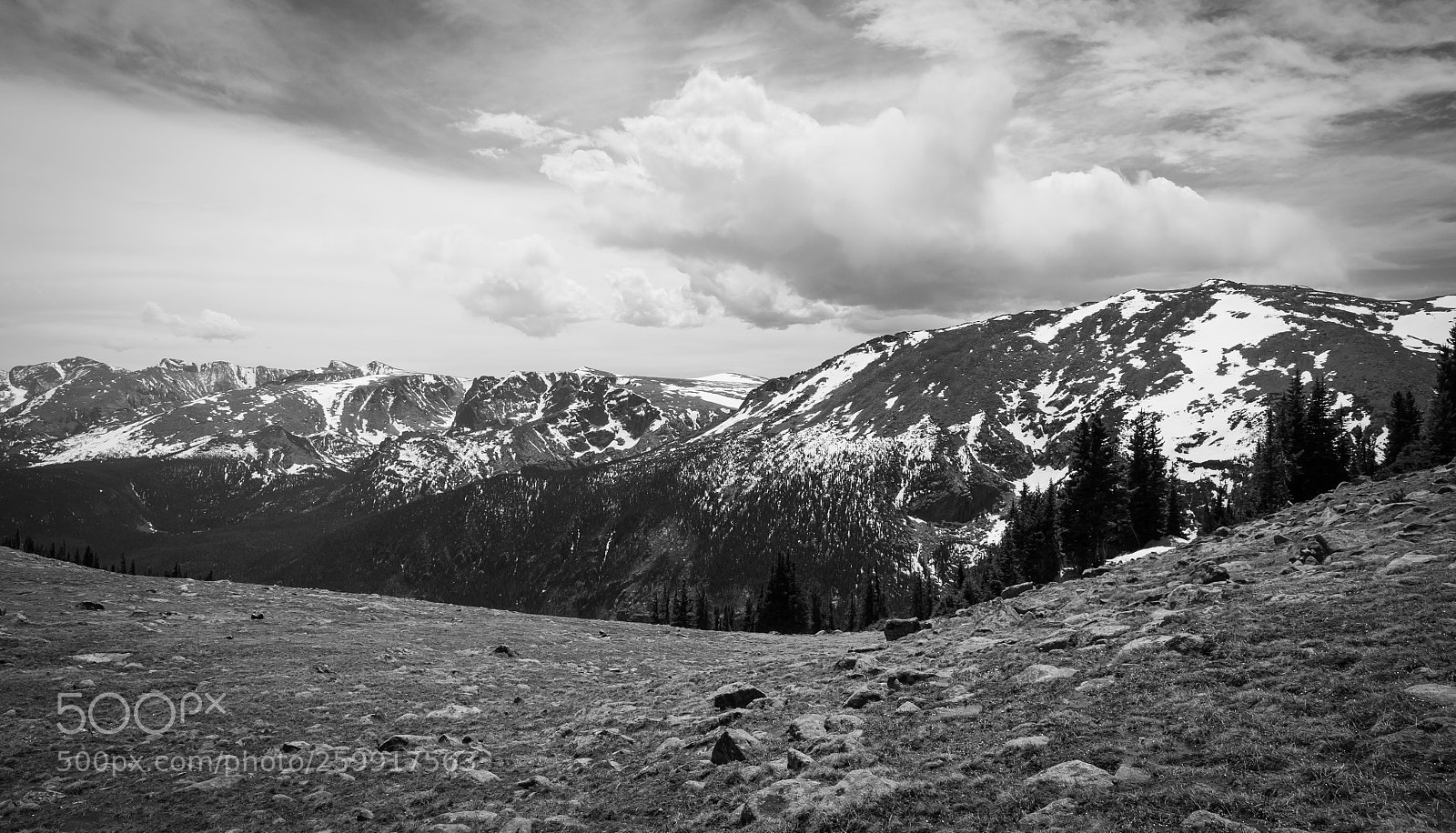 Sony Alpha NEX-6 sample photo. View on the tundra photography