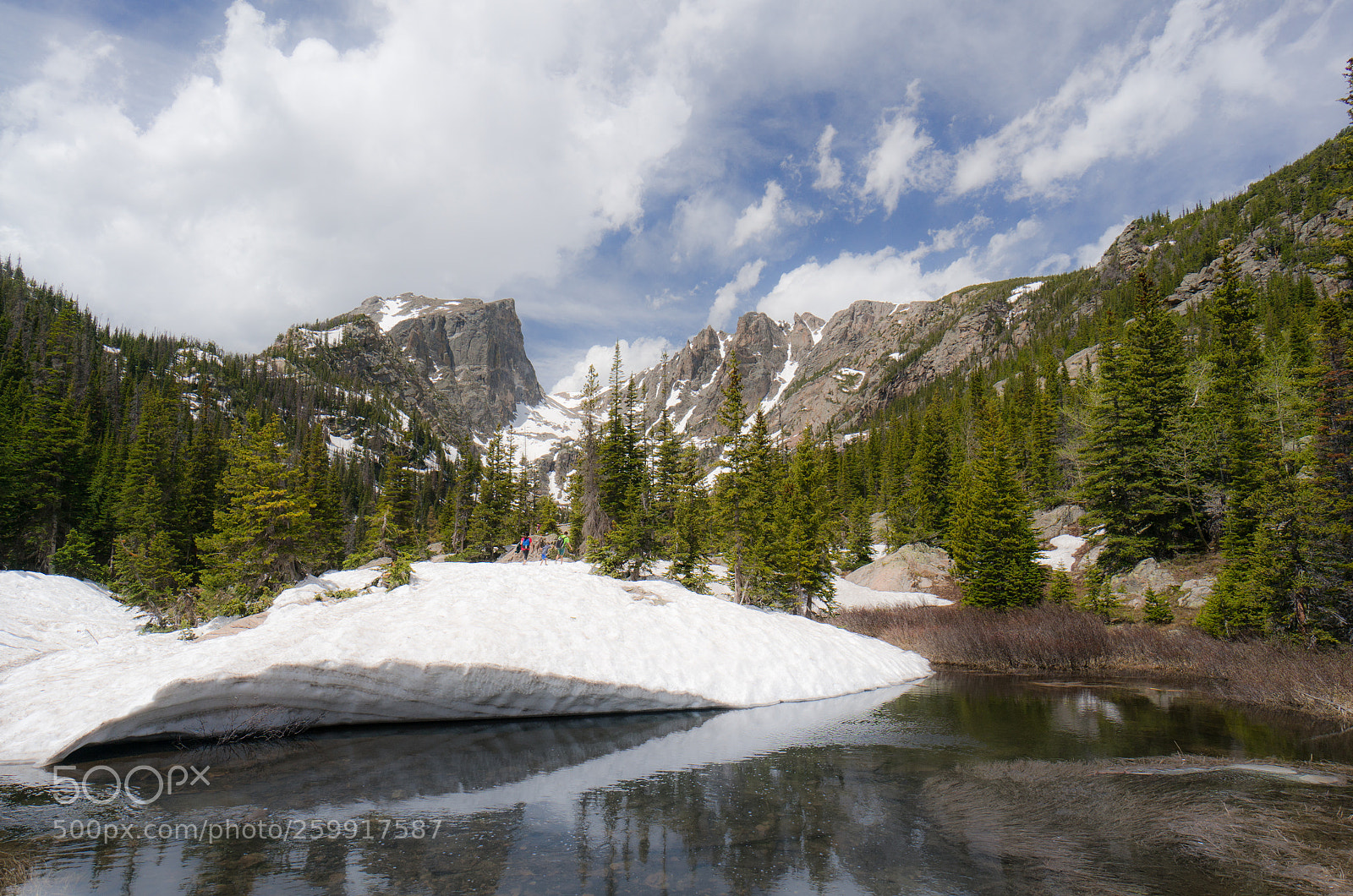 Sony Alpha NEX-6 sample photo. Subalpine photography