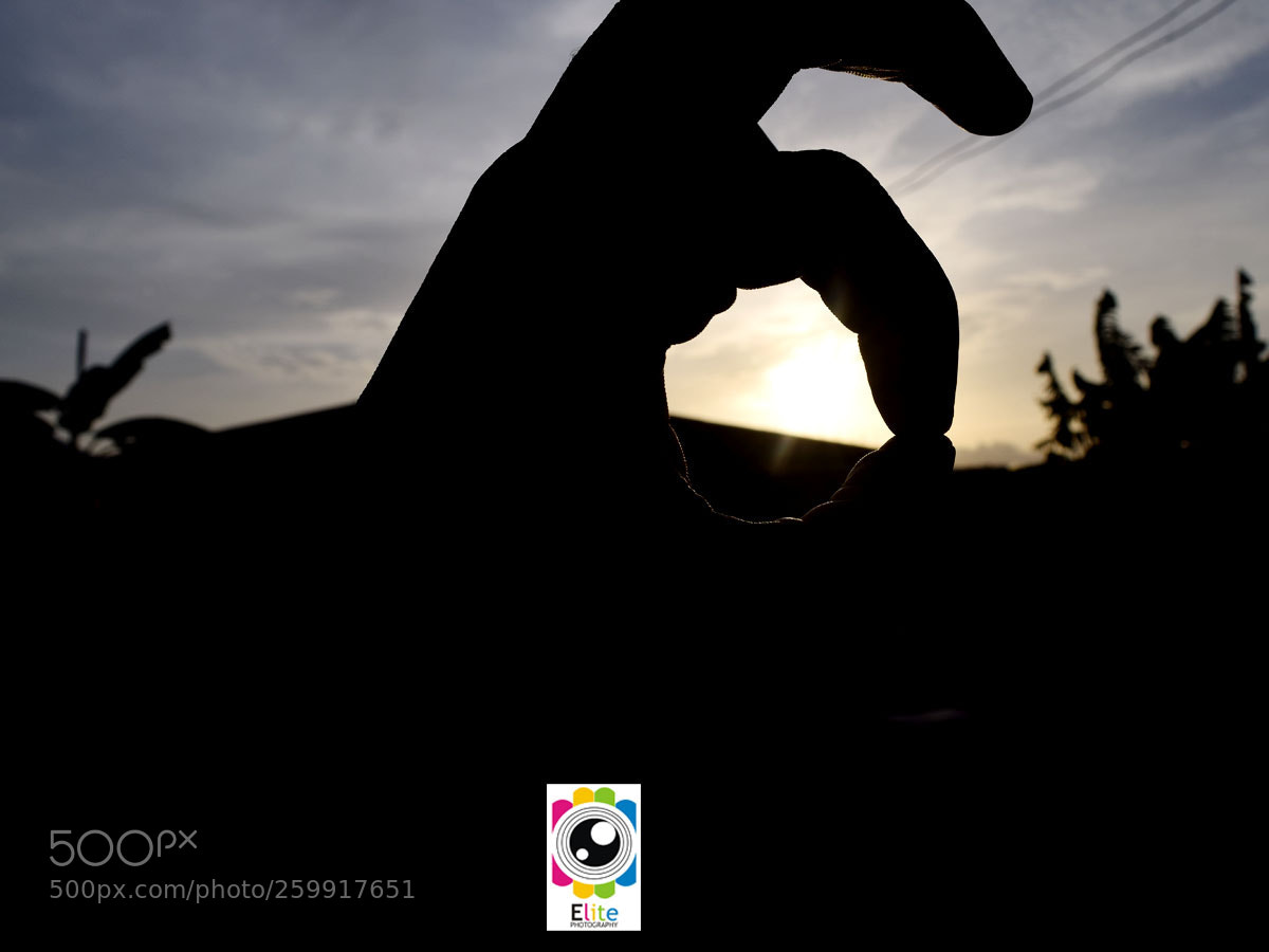 Nikon D3300 sample photo. Untitled photography