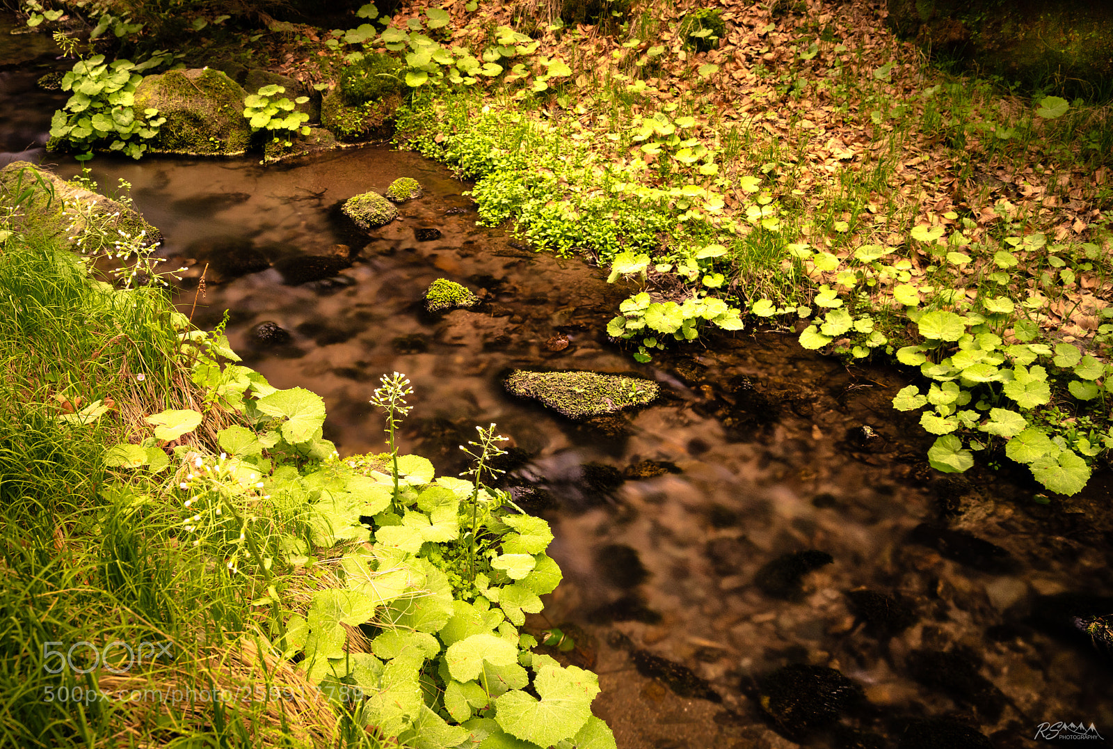 Sony a7R II sample photo. Weißbach valley photography
